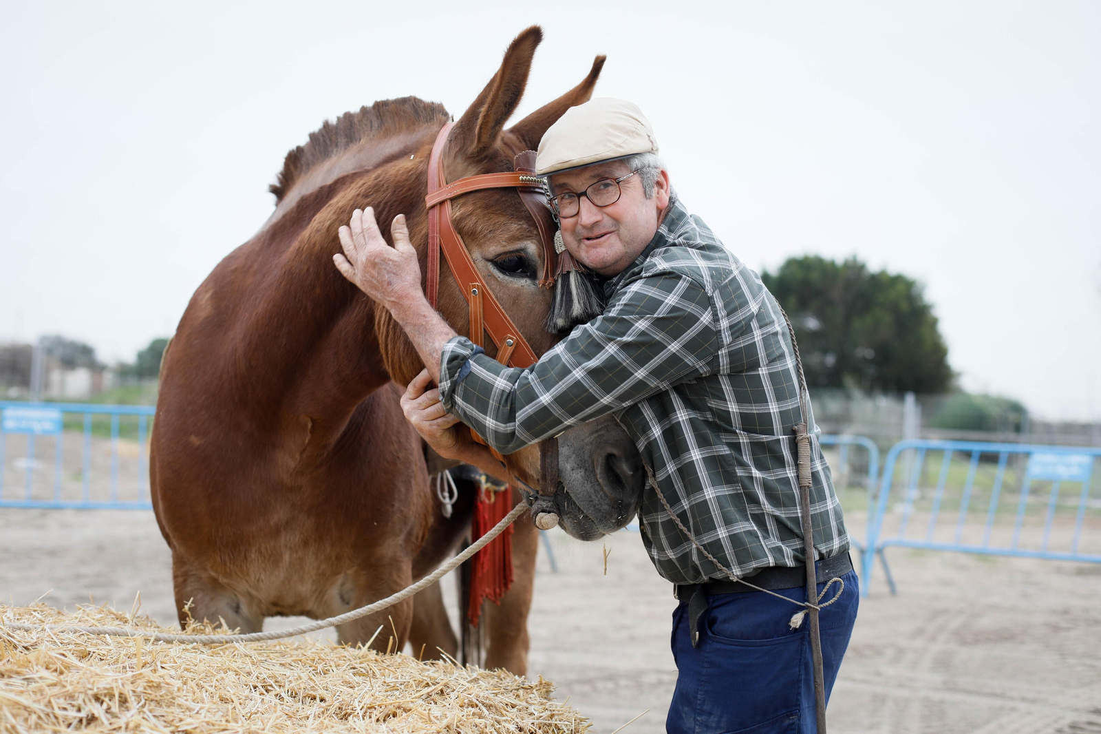Galería de la Feria  de ganado en Tarambana