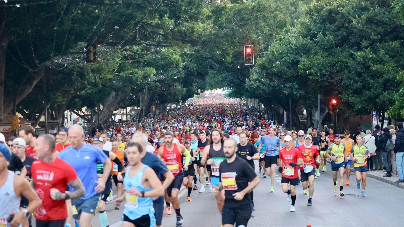 Las mejores fotos de la Maratón de Málaga 2024
