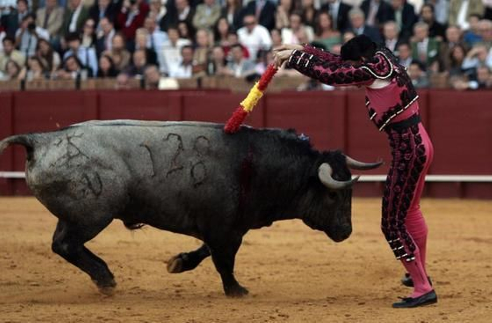 Foto: Juan Carlos Muñoz