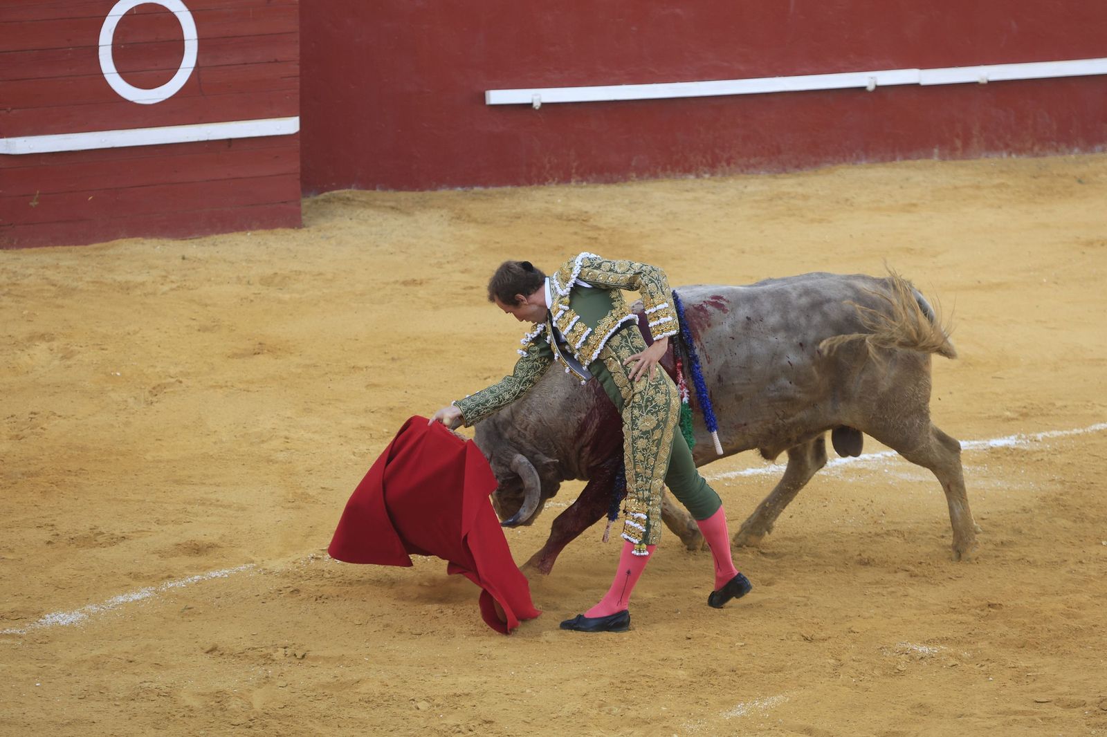 Fotos de la corrida de toros de la Feria de San Roque con David Galván, Román y Joaquín Galdós