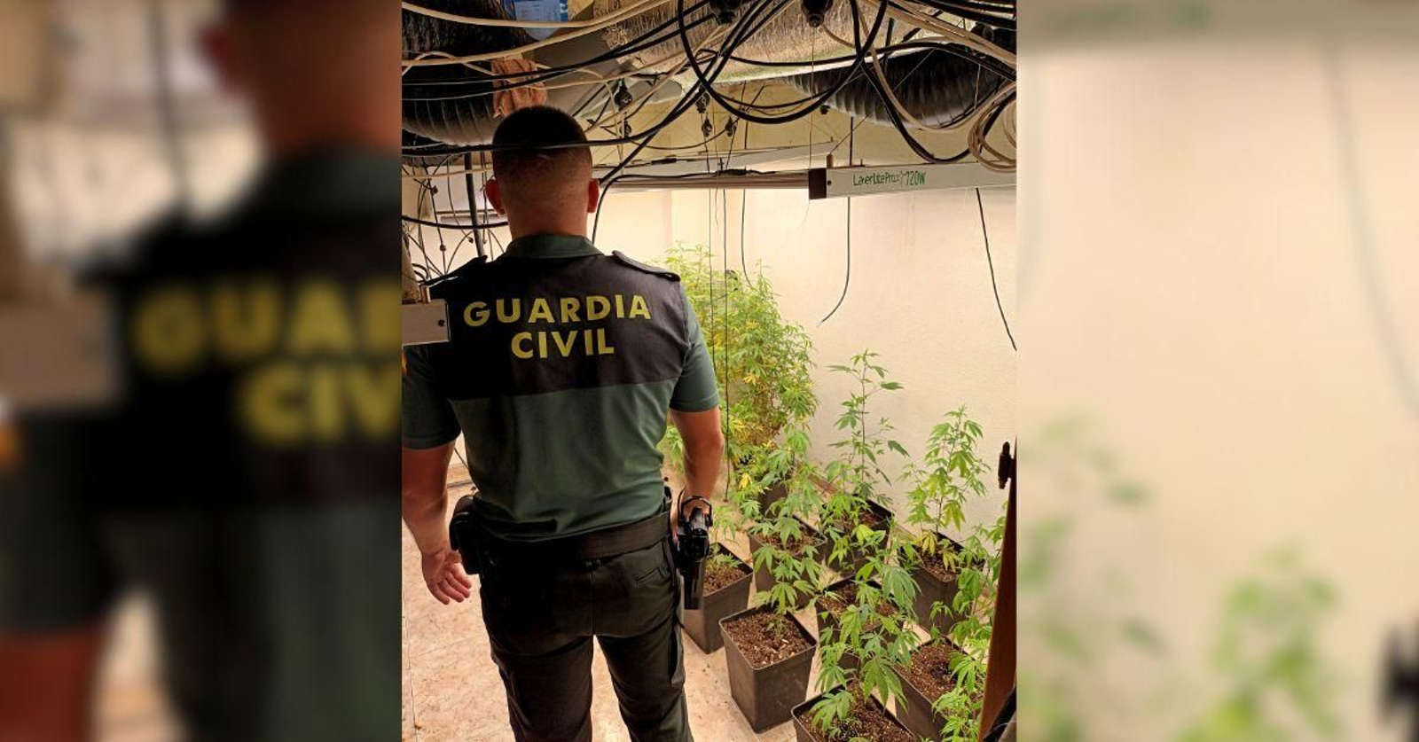 La Guardia Civil detiene a una persona como presunto autor de un delito contra la salud pública.