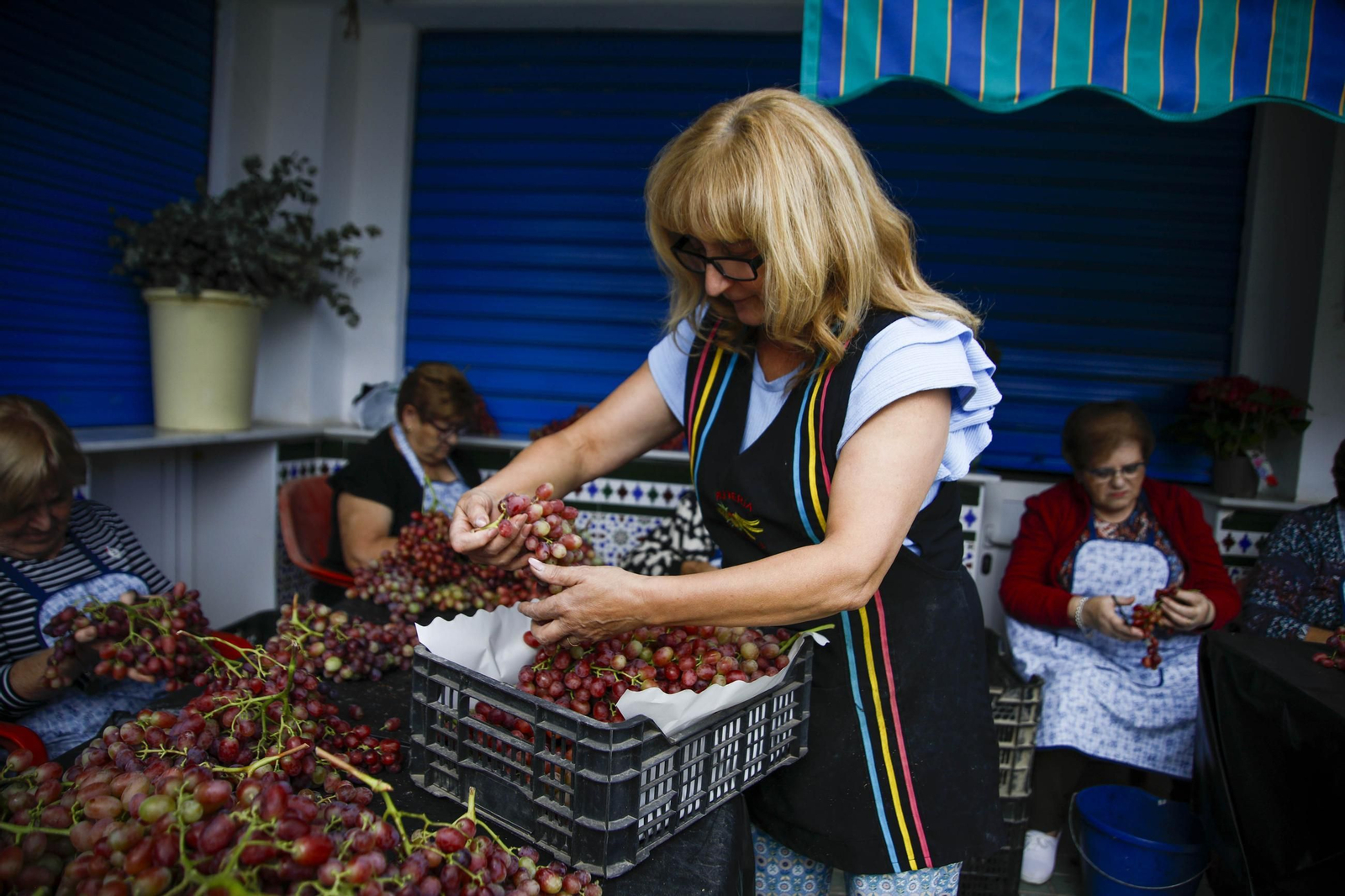 La tradicional faena de la uva de Canjayar, en imágenes