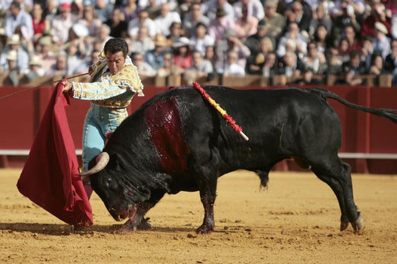 El Fandi./ Juan Carlos Muñoz