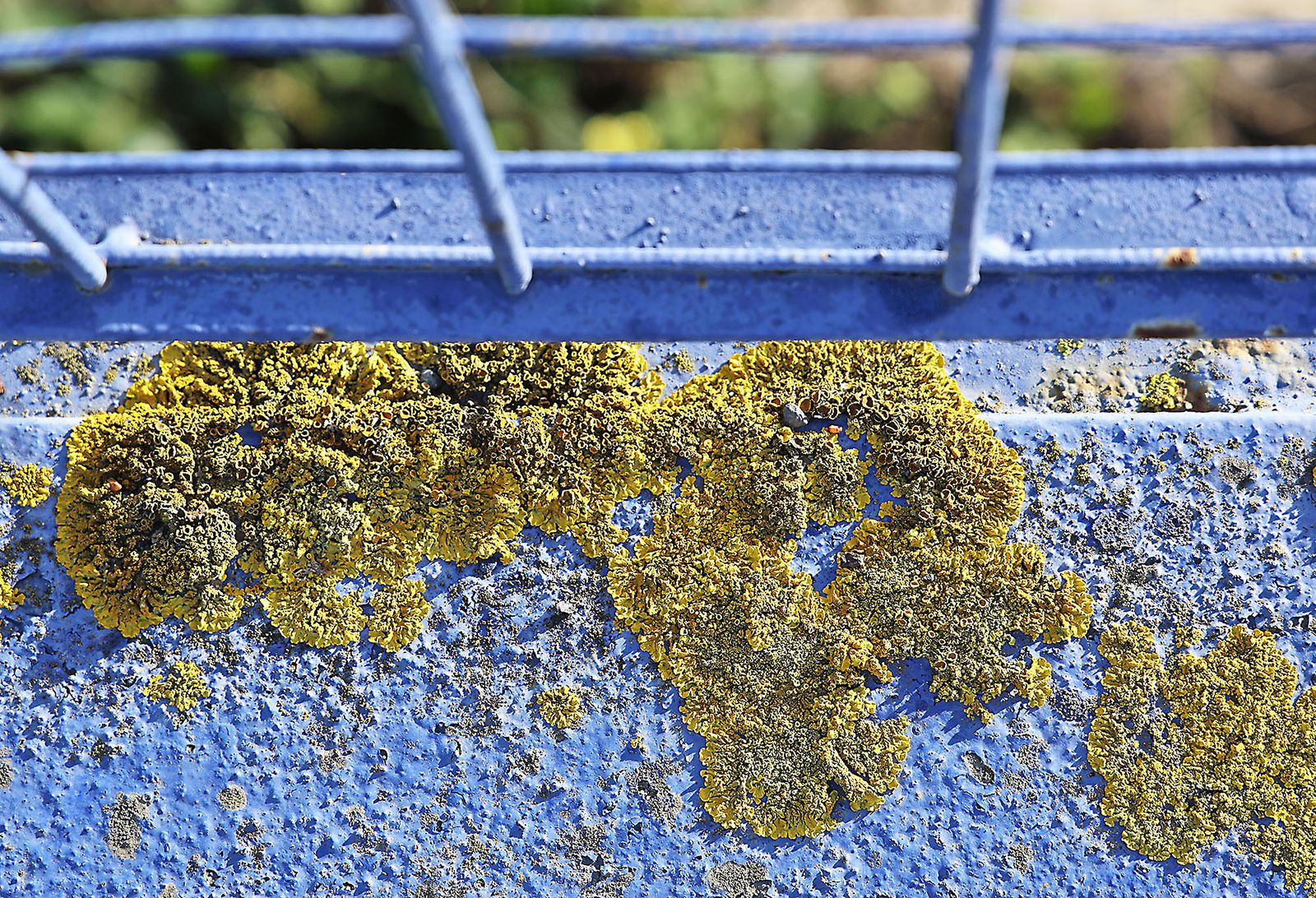 Las fotografías del lunes tarde en Huelva