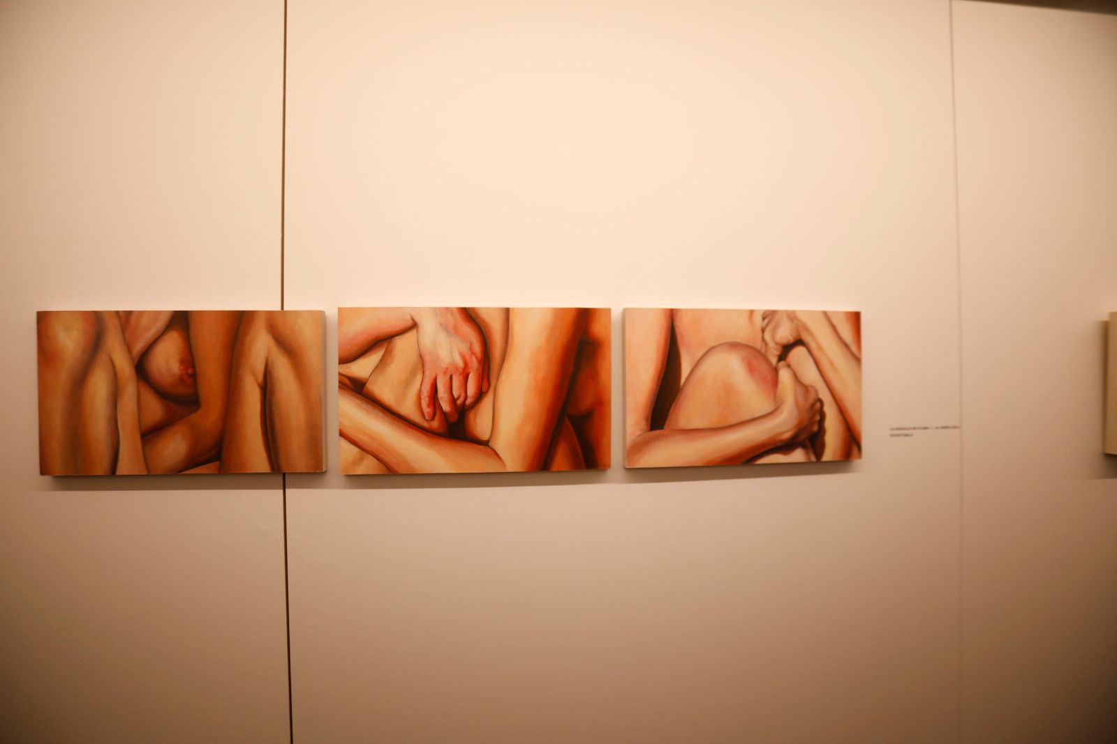 Un recorrido en imágenes por la exposición 'Corpus' de Luis Celorio en Córdoba