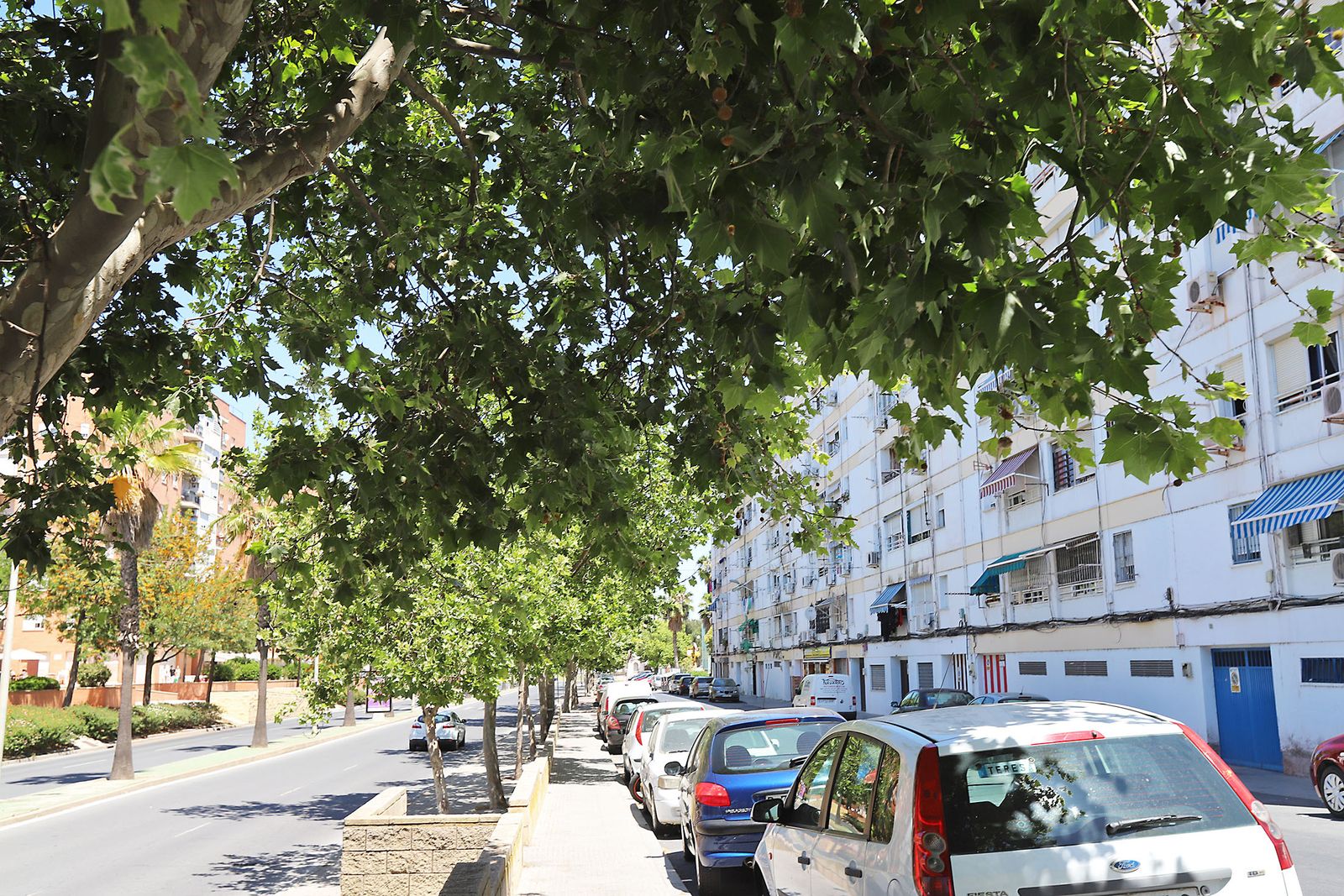 Barrio a Barrio: El Carmen