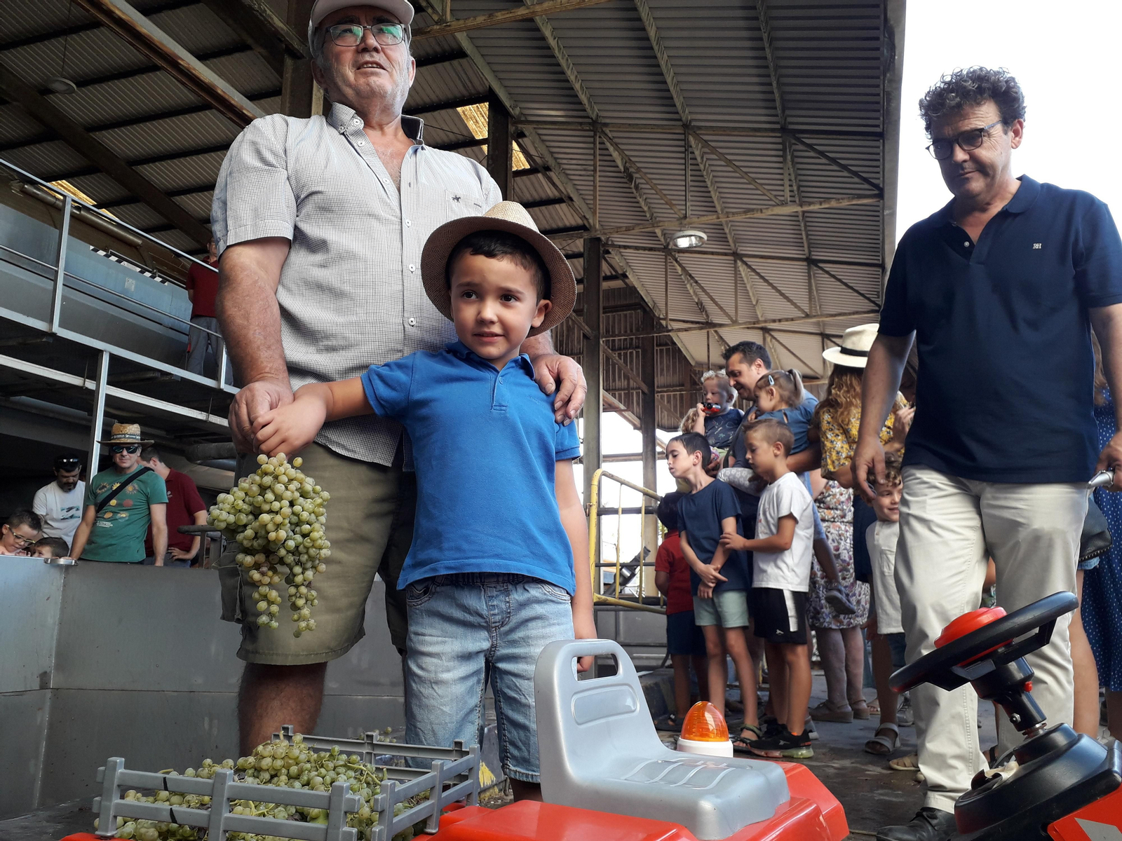La primera vendimia infantil de Montilla, en imágenes