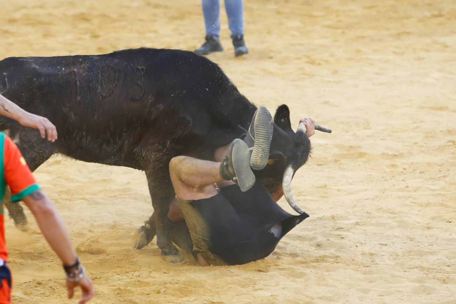 Fotos del Toro del Aguardiente en San Roque