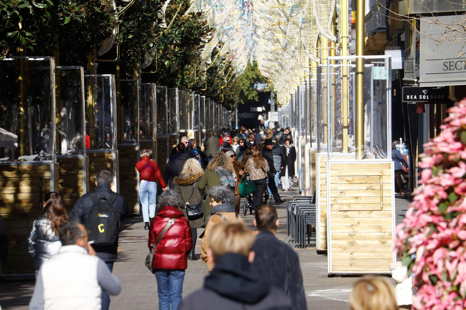 Ambiente navideño en el centro de Córdoba.