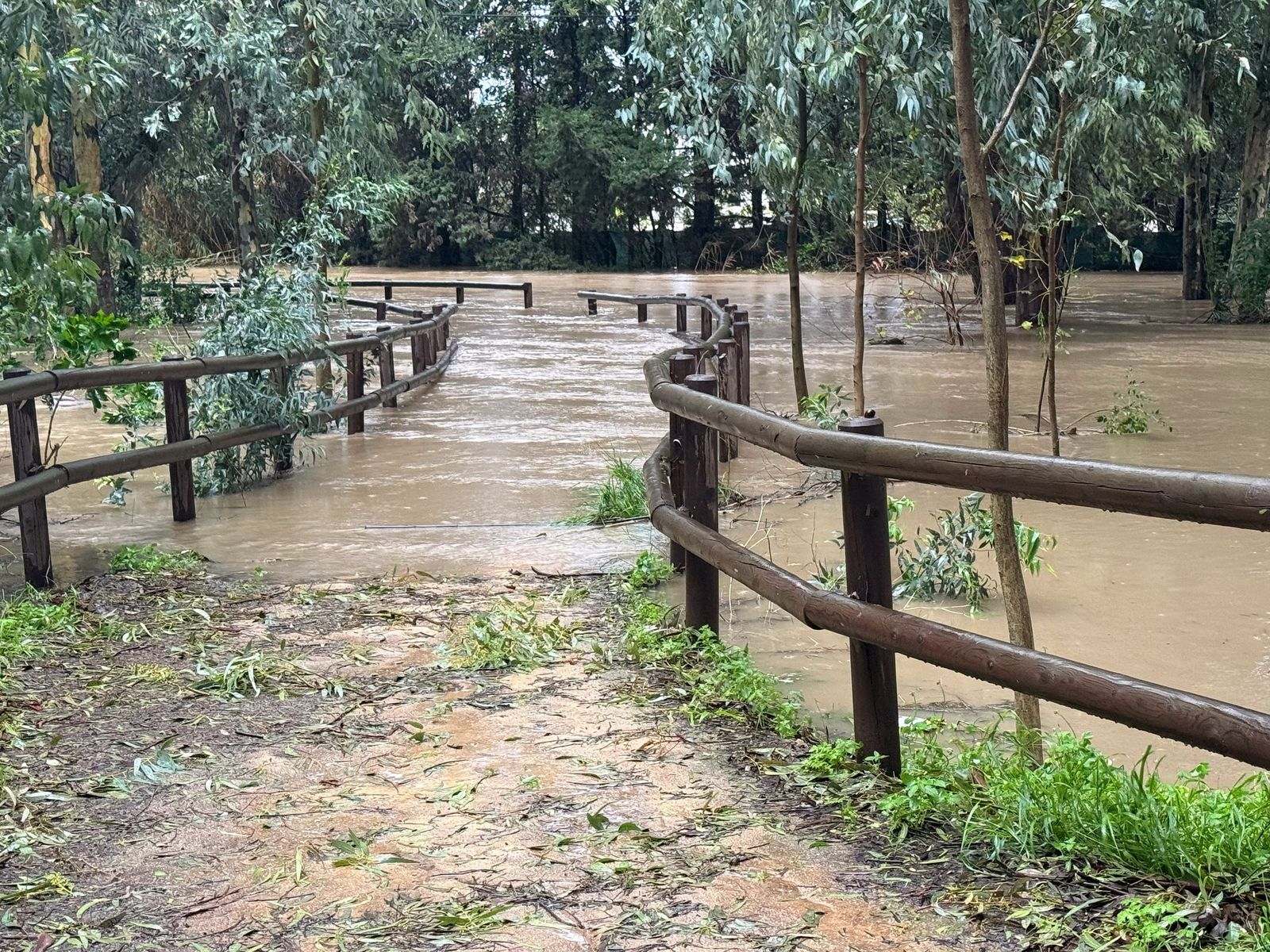 Fotos: Así amaneció el Campo de Gibraltar tras el paso de la borrasca Leonardo
