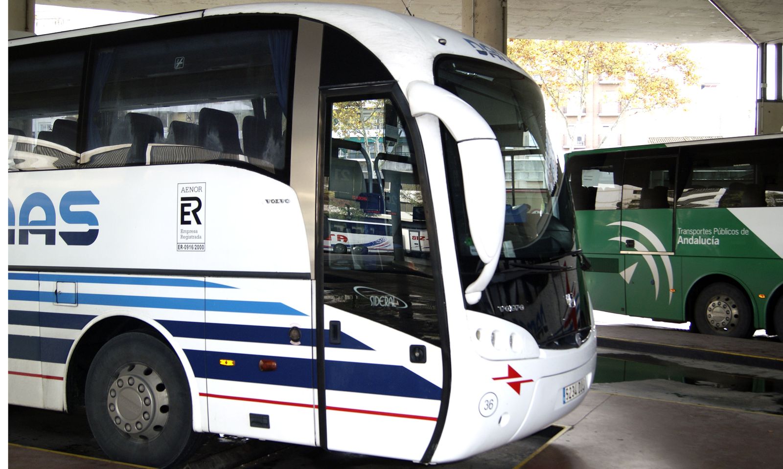Uno de los autobuses de la firma de transporte.