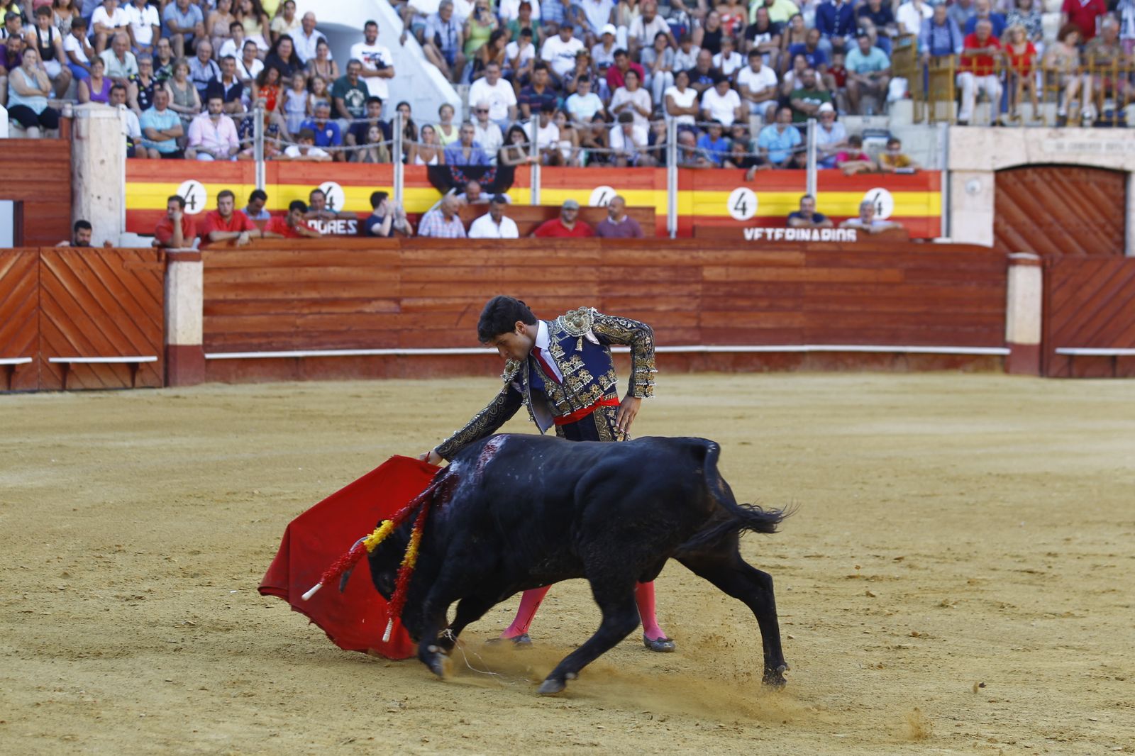Imágenes de la novillada organizada por la Escuela Taurina de Almería
