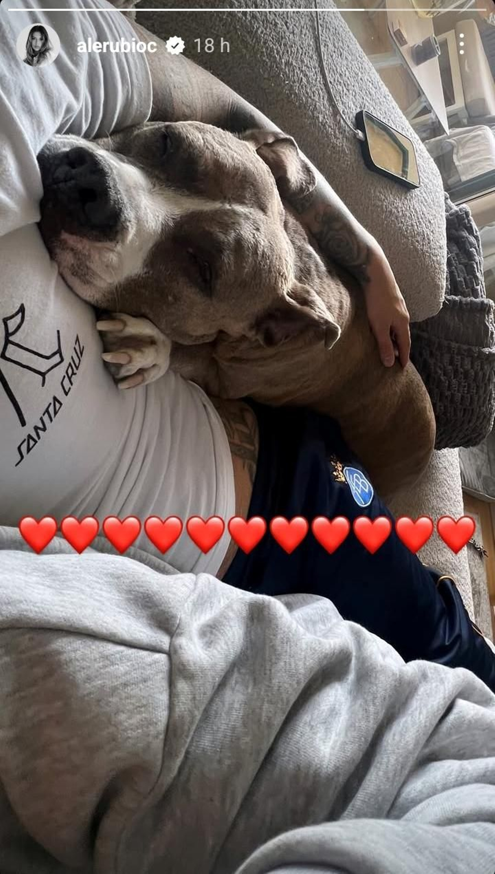 La 'story' que ha compartido Alejandra en su perfil de Instagram.