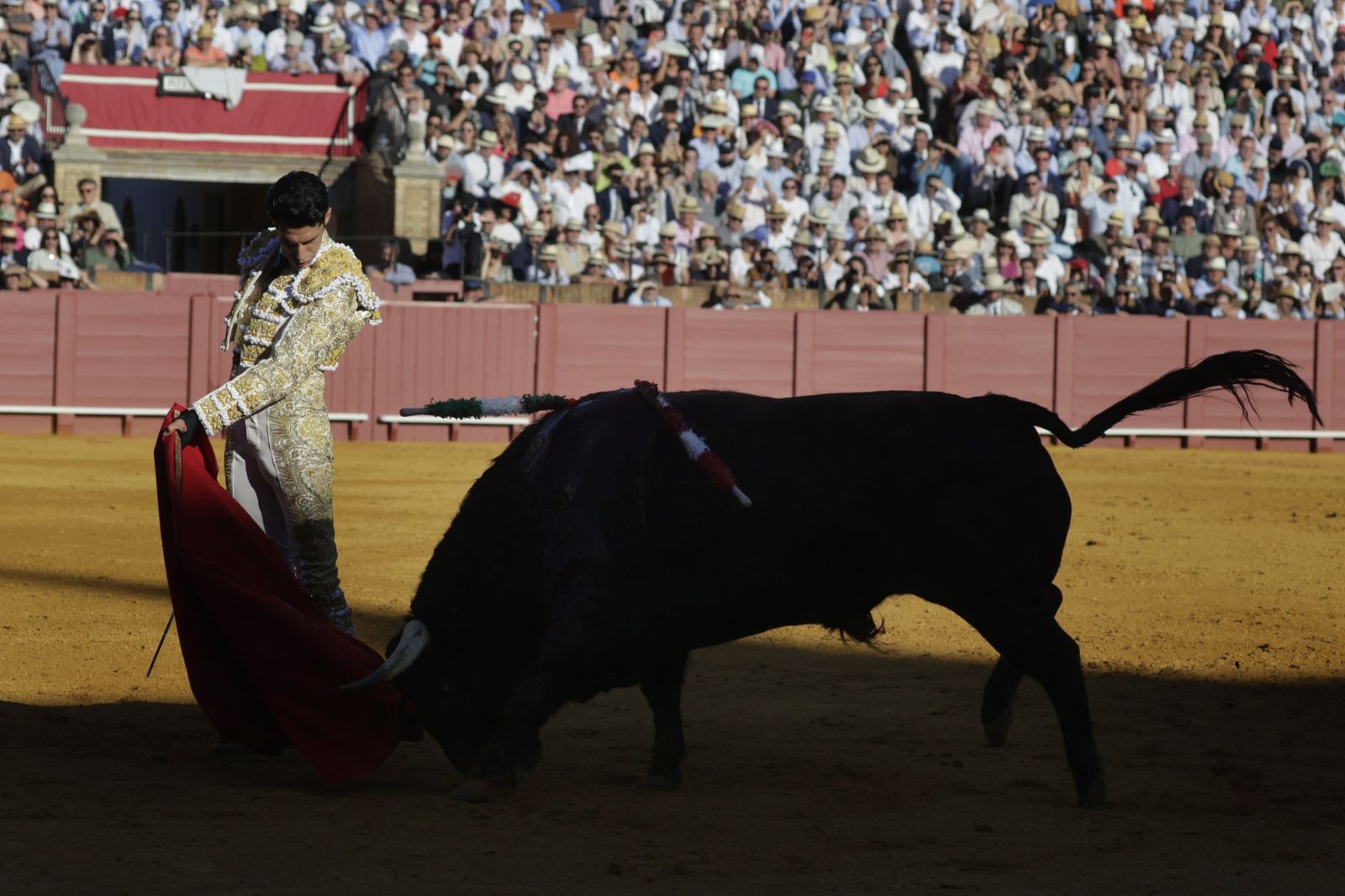 Las imágenes del festejo
