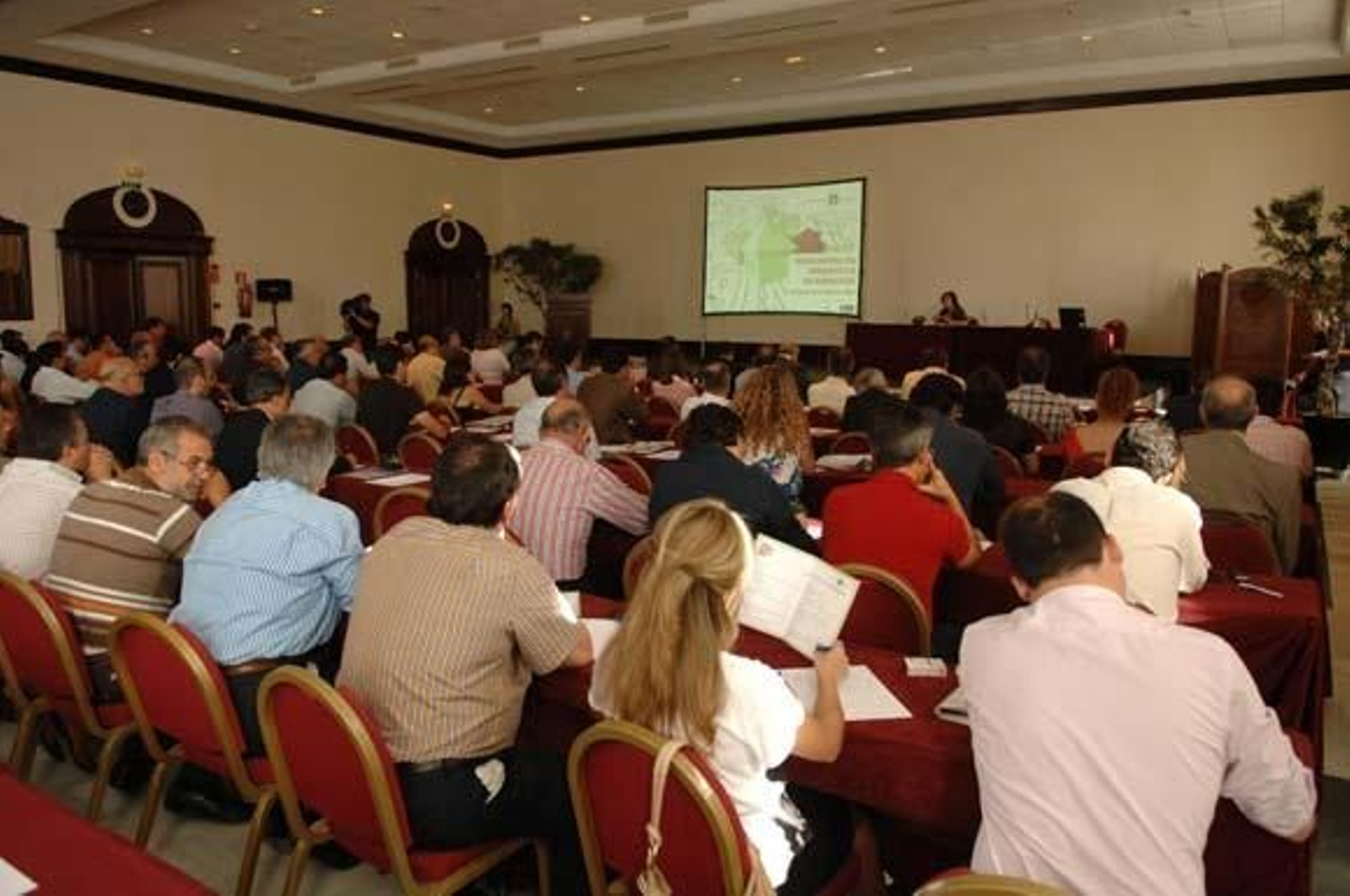 Casi 200 profesionales en un salón del hotel Meliá Sancti Petri.

Foto: Paco Periñán