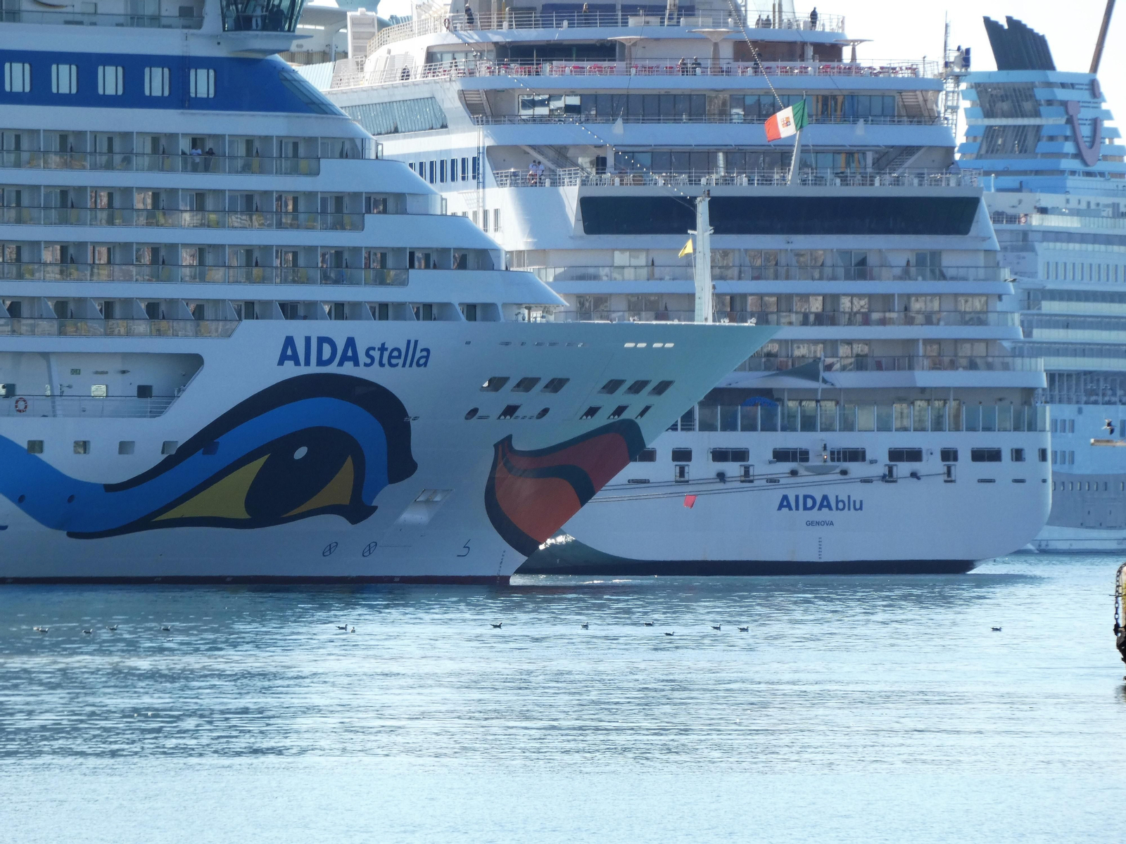 El ‘AIDAStella’ y el ‘AIDAblu’ atracados en el puerto de Málaga.