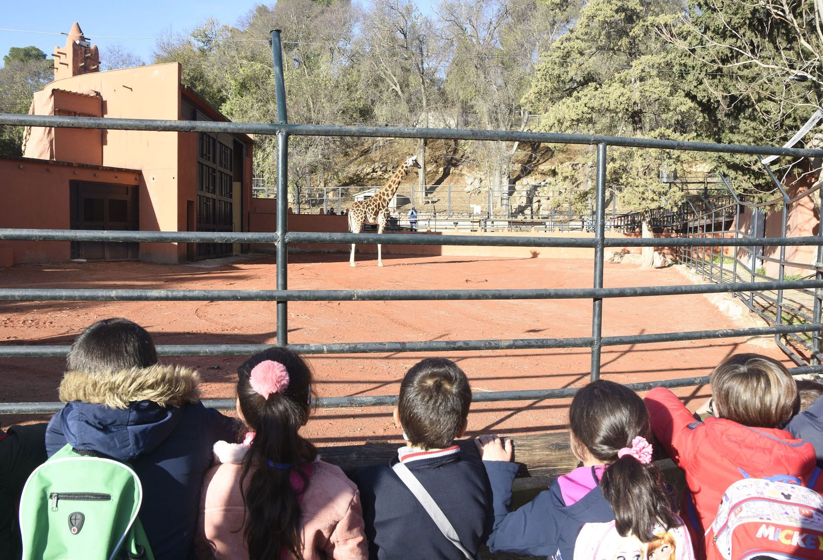 Unos niños contemplan a una jirafa en el Zoo de Córdoba