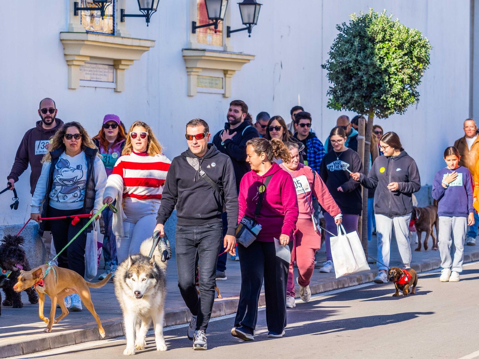 Las imágenes de San Antón 2025 en San Fernando