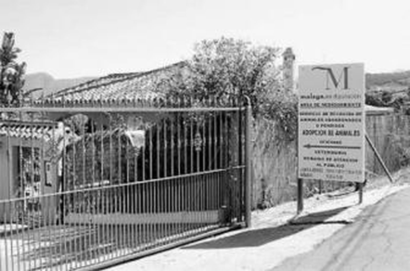 Una vecina señala la casa donde se produjo el ataque del perro, en La Alquería de Alhaurín de la Torre.