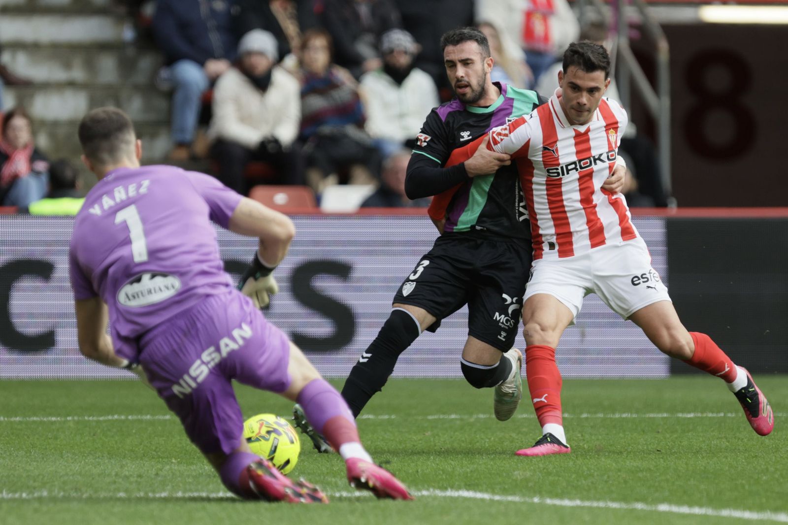El Sporting-Málaga CF, en fotos