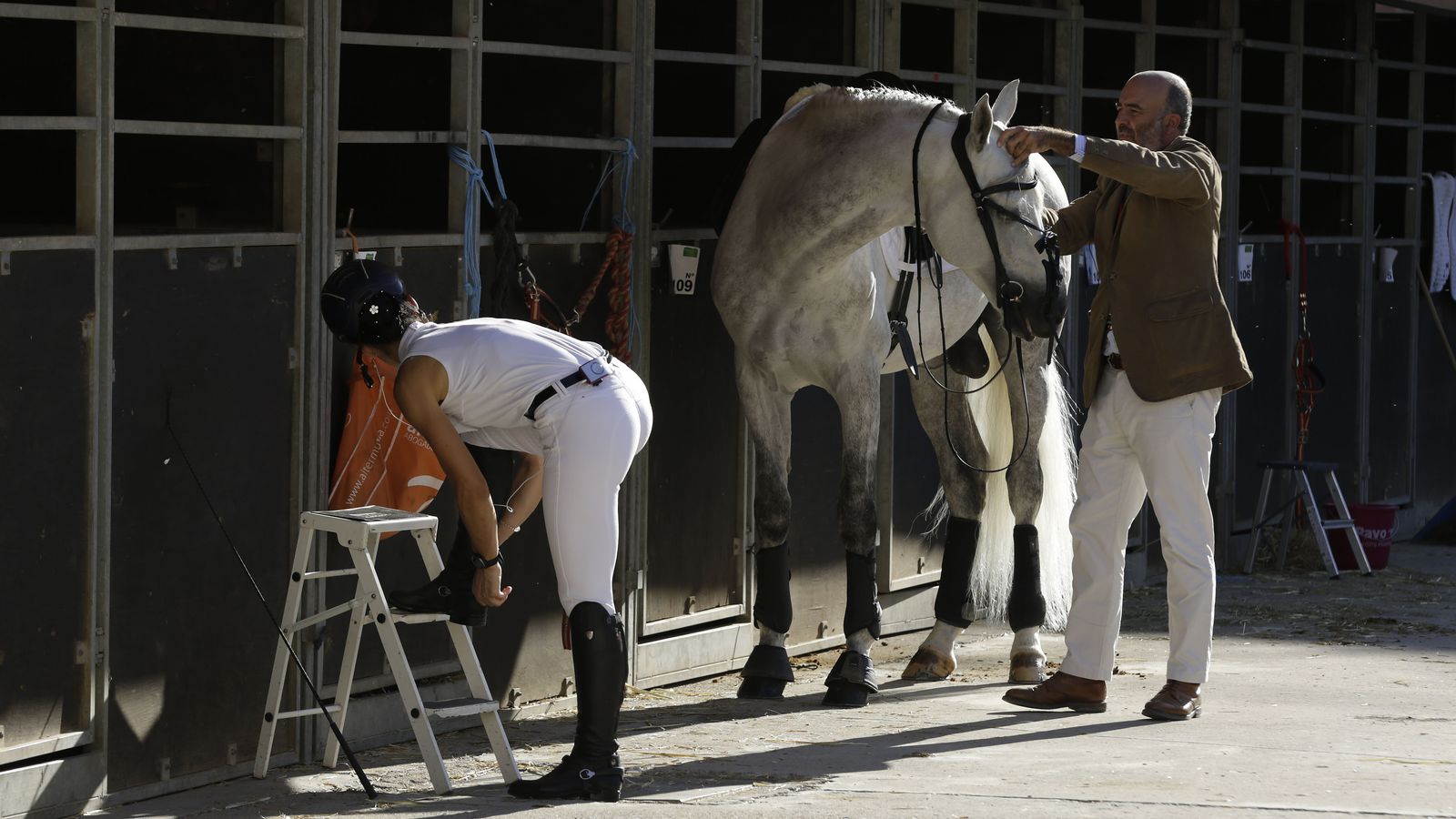 Puesta a punto del caballo para la competición de doma clásica en Sicab.