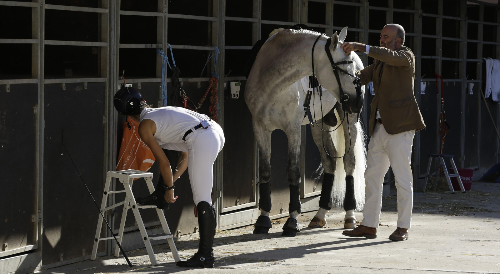 Imágenes del Sicab 2020 en su primer día