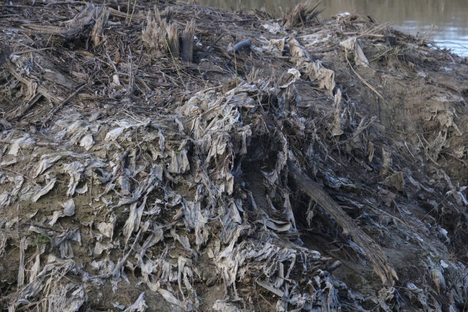 El monstruo de las toallitas