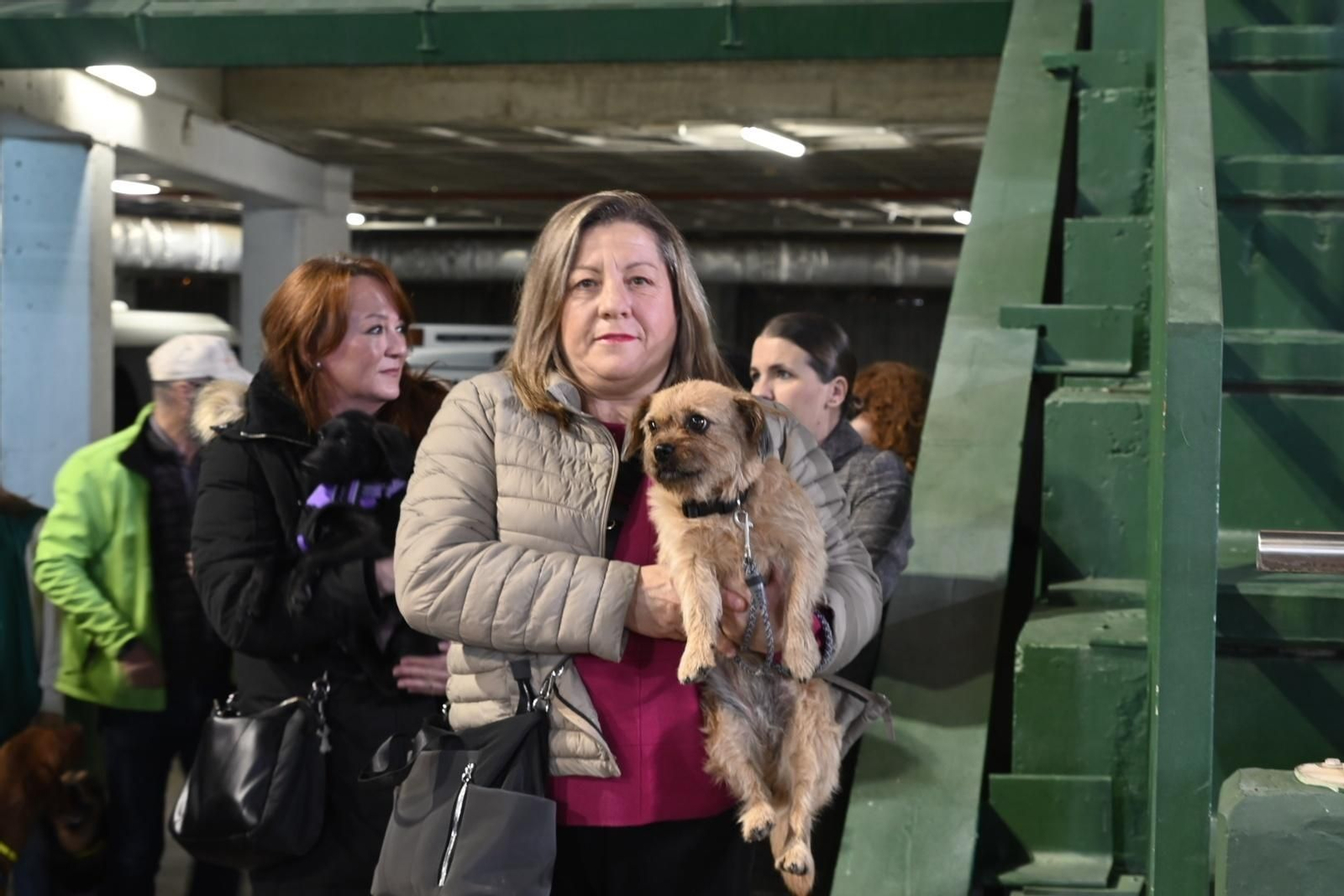 Las mejores fotos del gran ambiente en El Arcángel para el Córdoba CF - CD Castellón