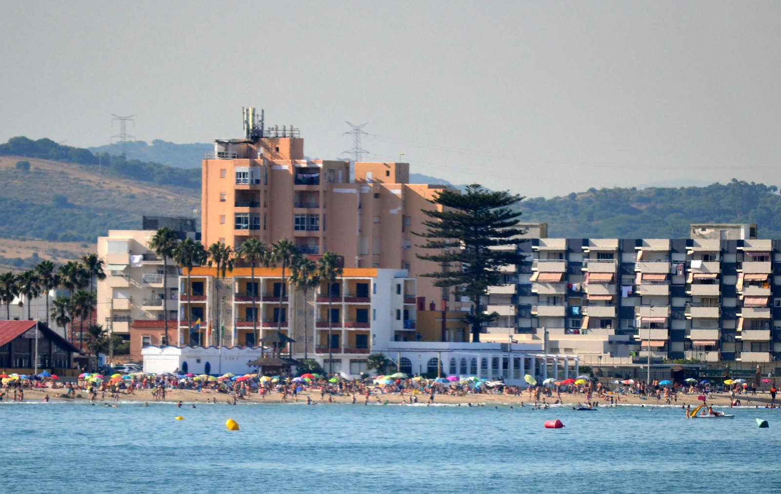 La araucaria del hotel Bahía, ya desaparecida, vista desde un barco en la bahía
