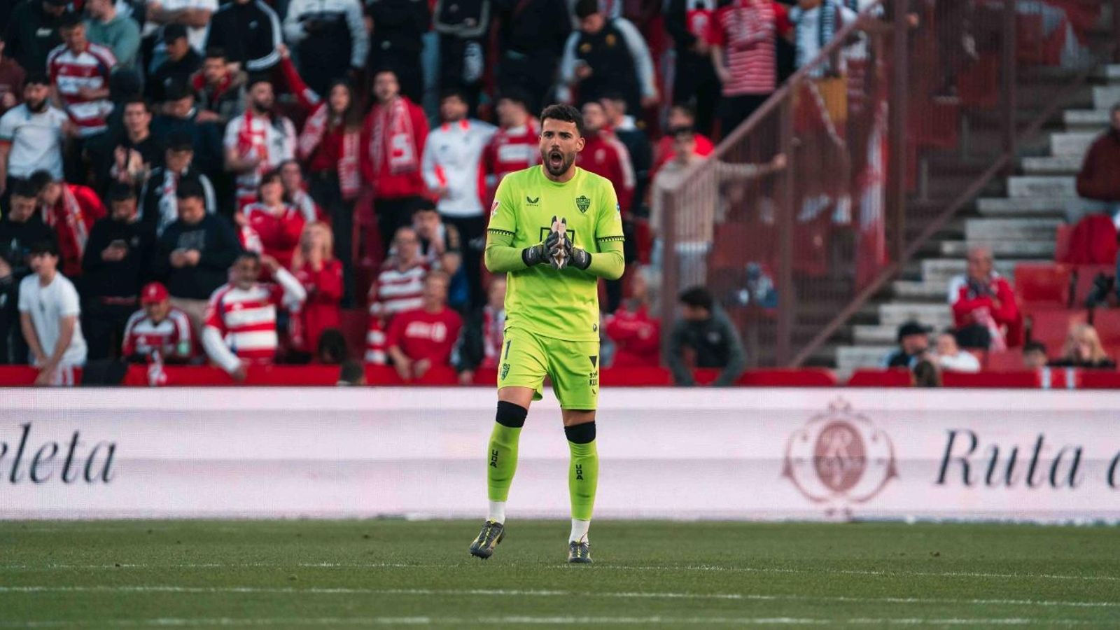 Luis Maximiano anima a los jugadores rojiblancos en el duelo ante el Granada.