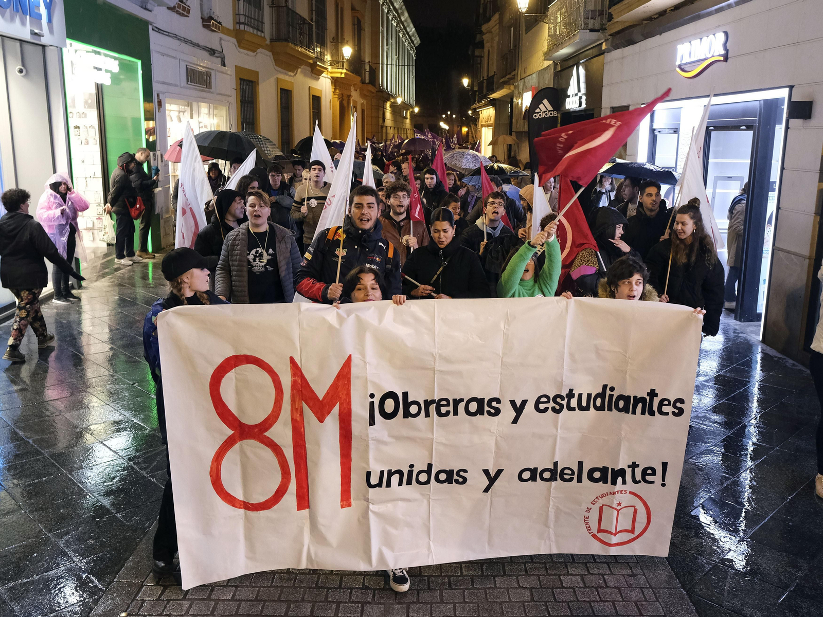 Manifestación 8M del Movimiento Feminista de Sevilla Con el lema "Ni promesas, ni excusas. Las mujeres exigimos realidades"