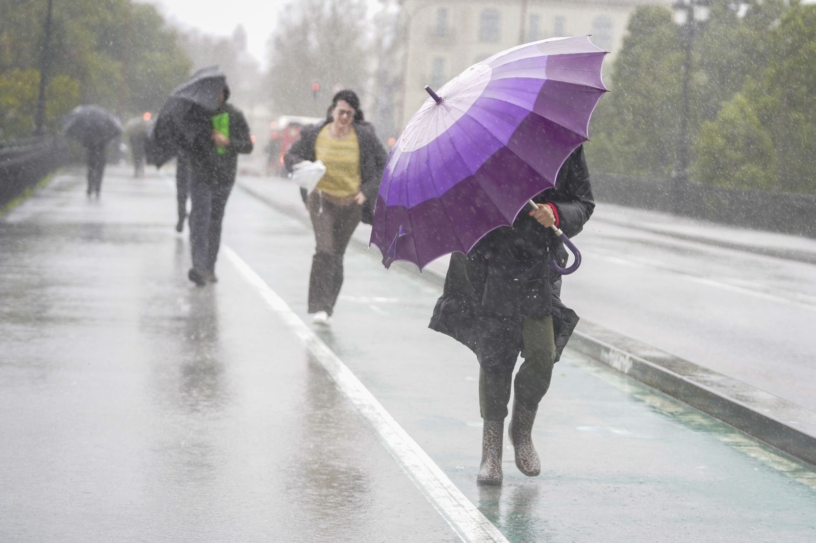 La intensa lluvia en Sevilla al paso de la Borrasca Leonardo en fotos