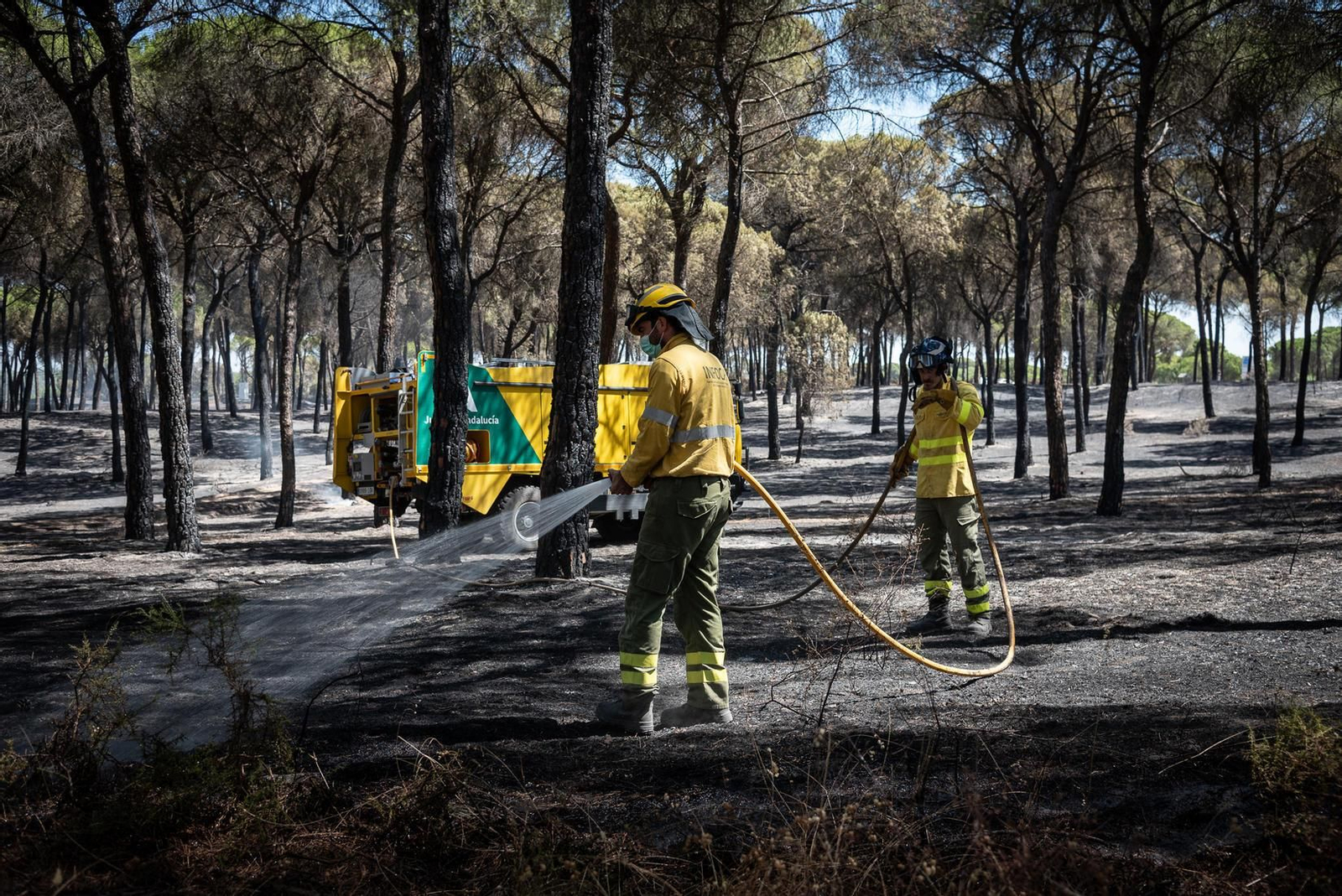El retén de bomberos del Infoca refresca el suelo calcinado para evitar que se reaviven las llamas.