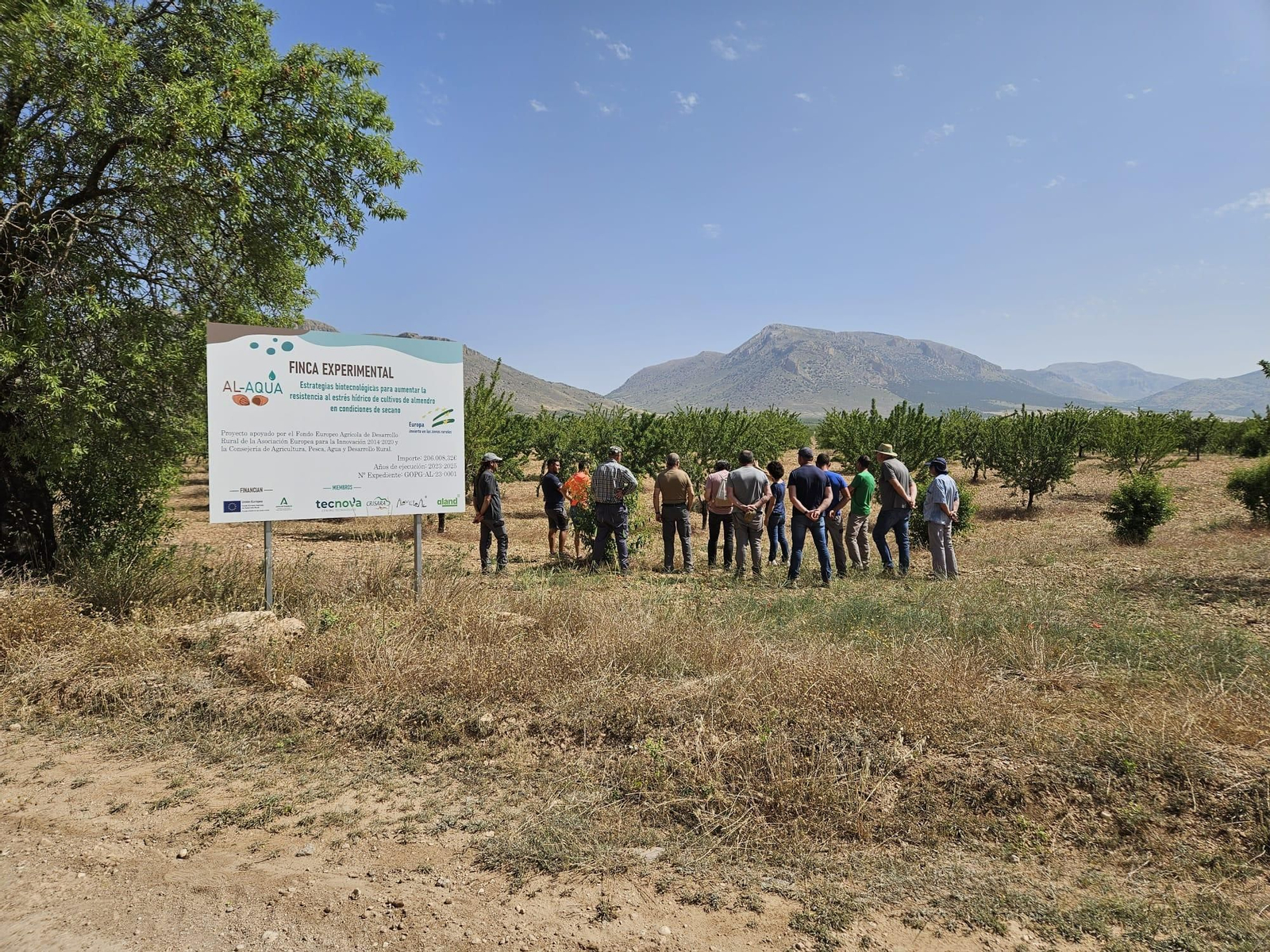 Visita a campo Al Aqua.