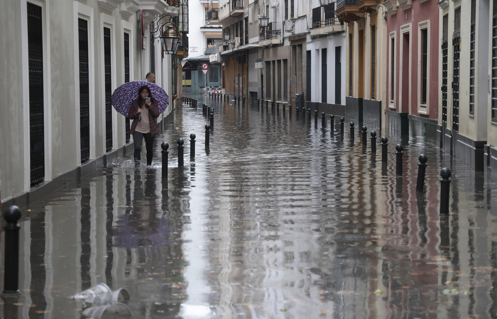 El centro de Sevilla anegado, todas las fotos.