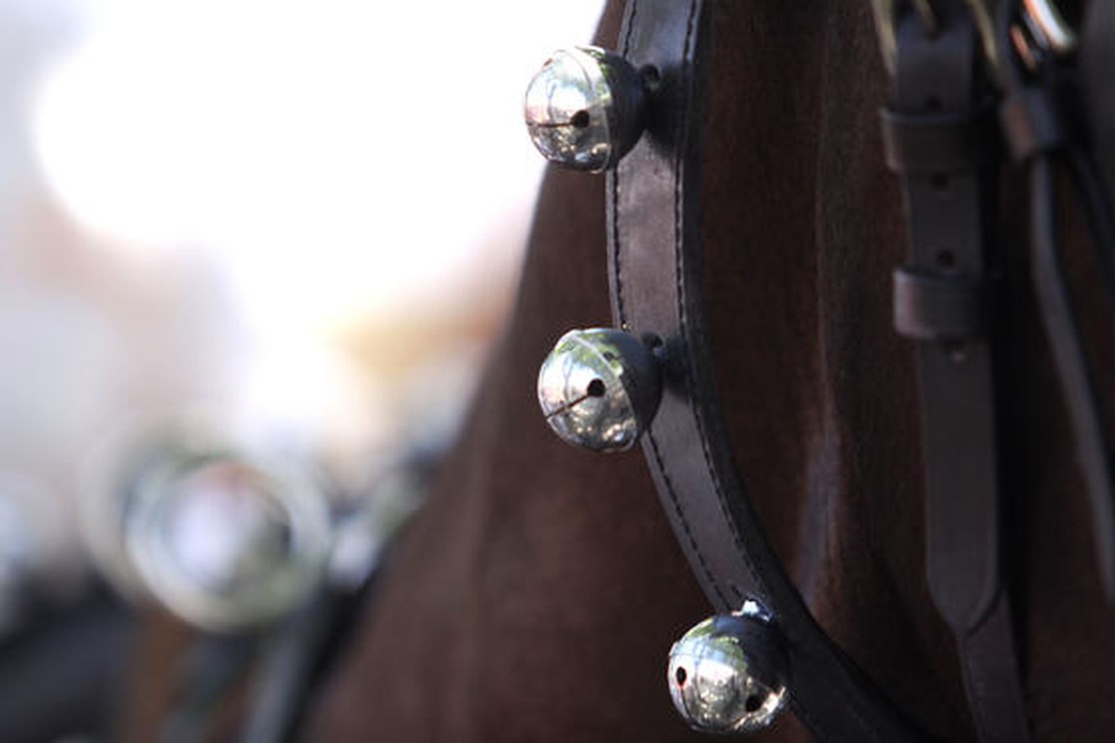 Los algecireños viven intensamente la jornada del sábado en la Feria. 

Foto: Vanessa Perez