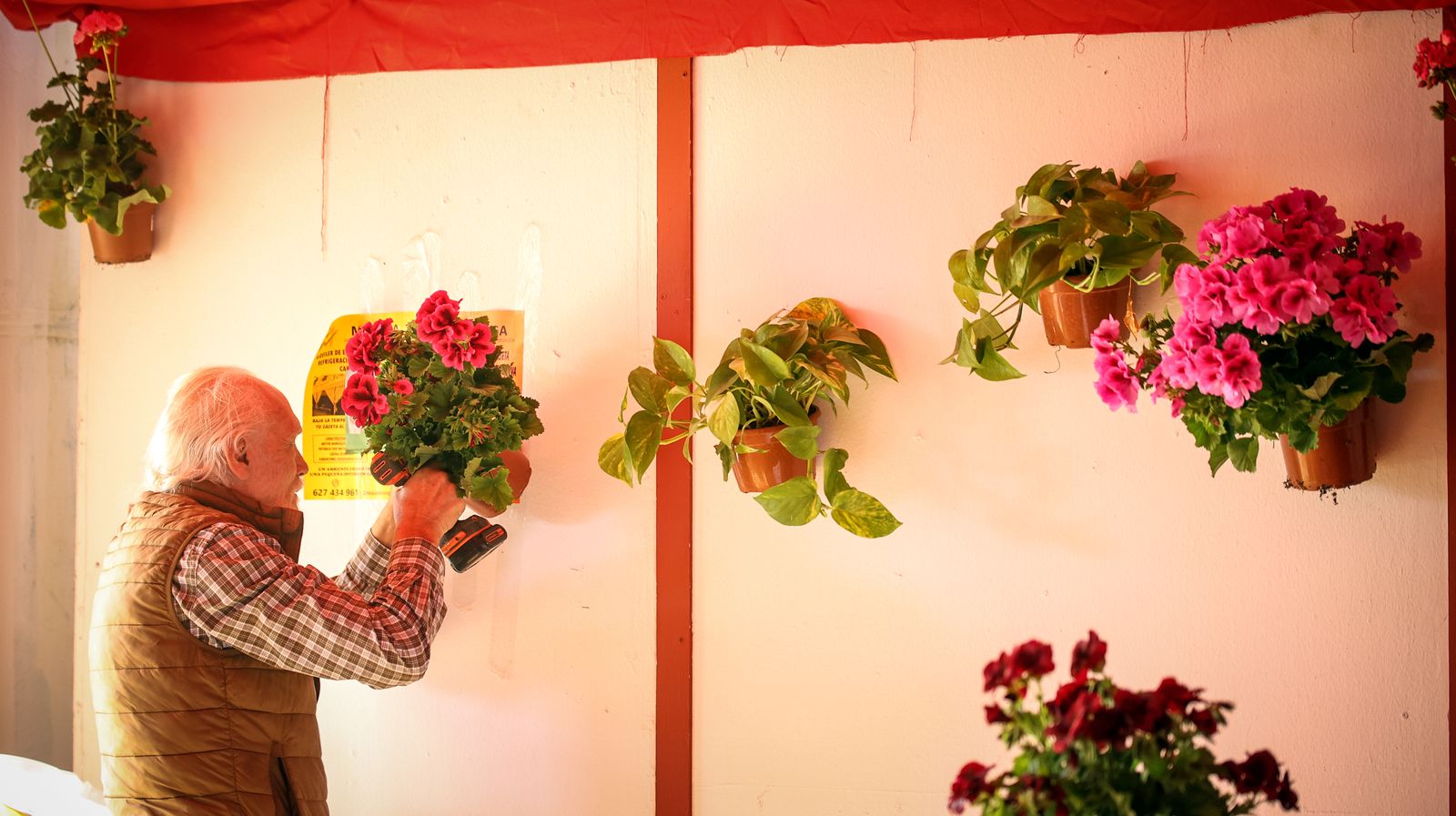 Imágenes de los preparativos para la Feria del Caballo 2024