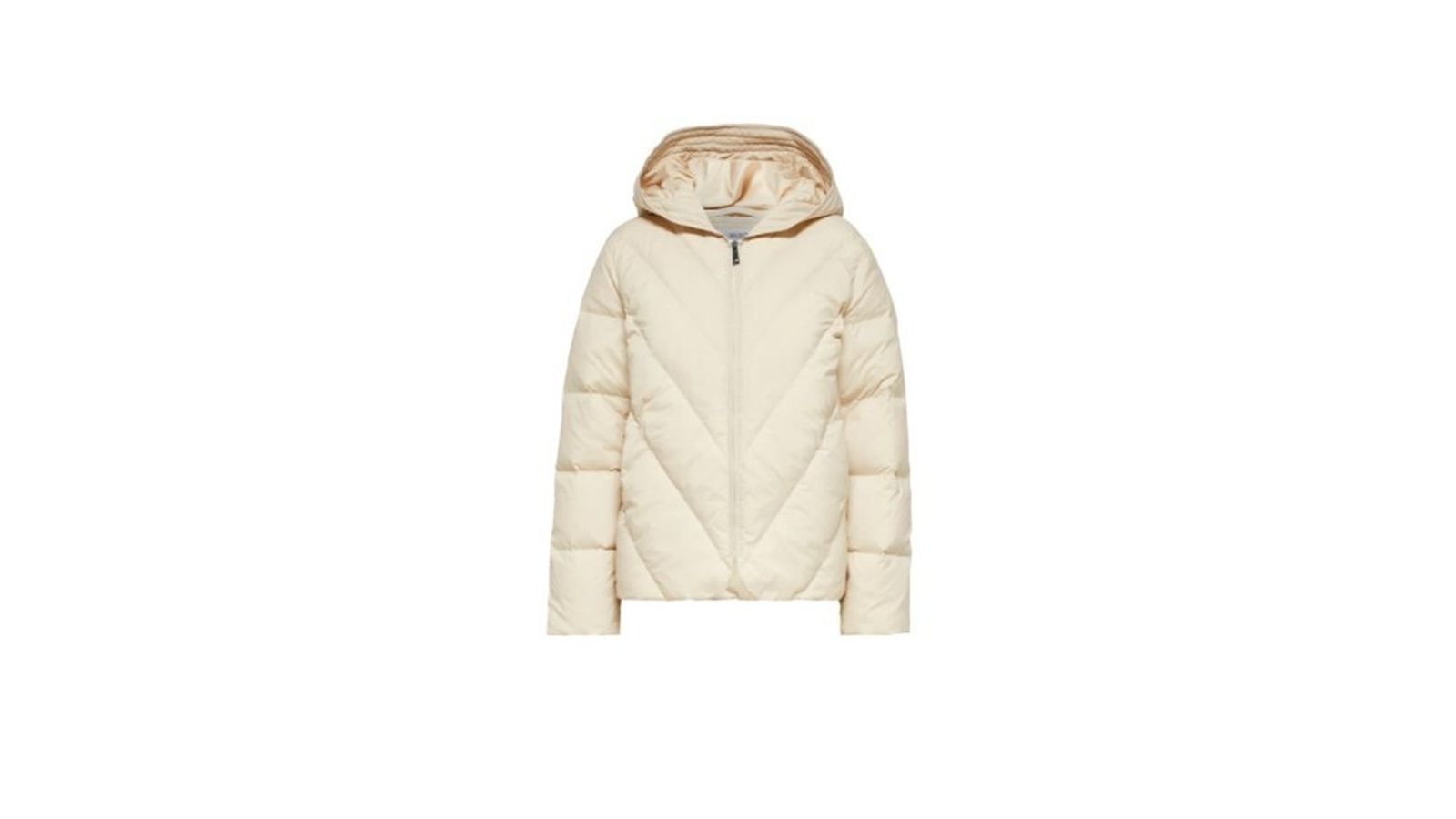 plumifero con capucha