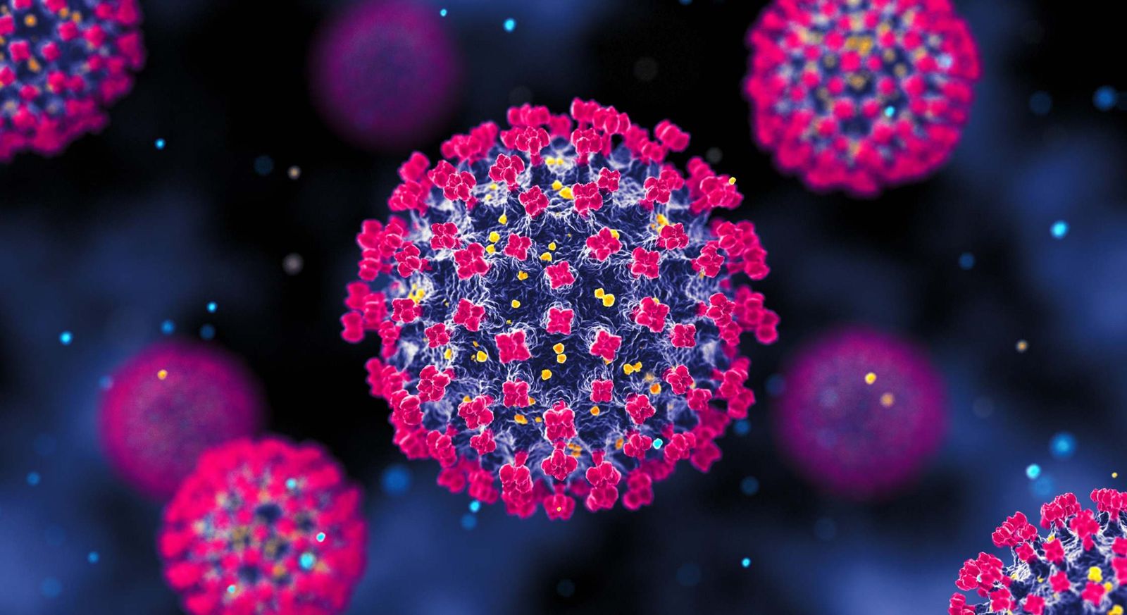 El virus Nipah se transmite principalmente por contacto con animales infectados o alimentos contaminados y puede causar encefalitis grave