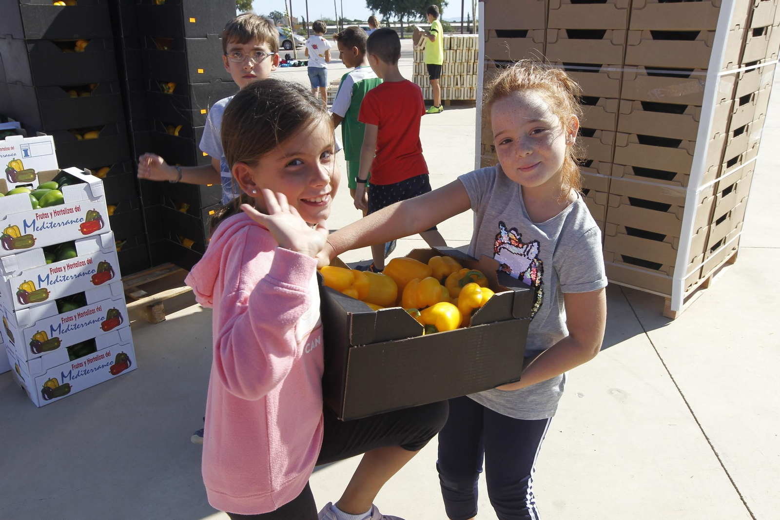 Fotogalería Récord Guinness Corazón Hortalizas Almería
