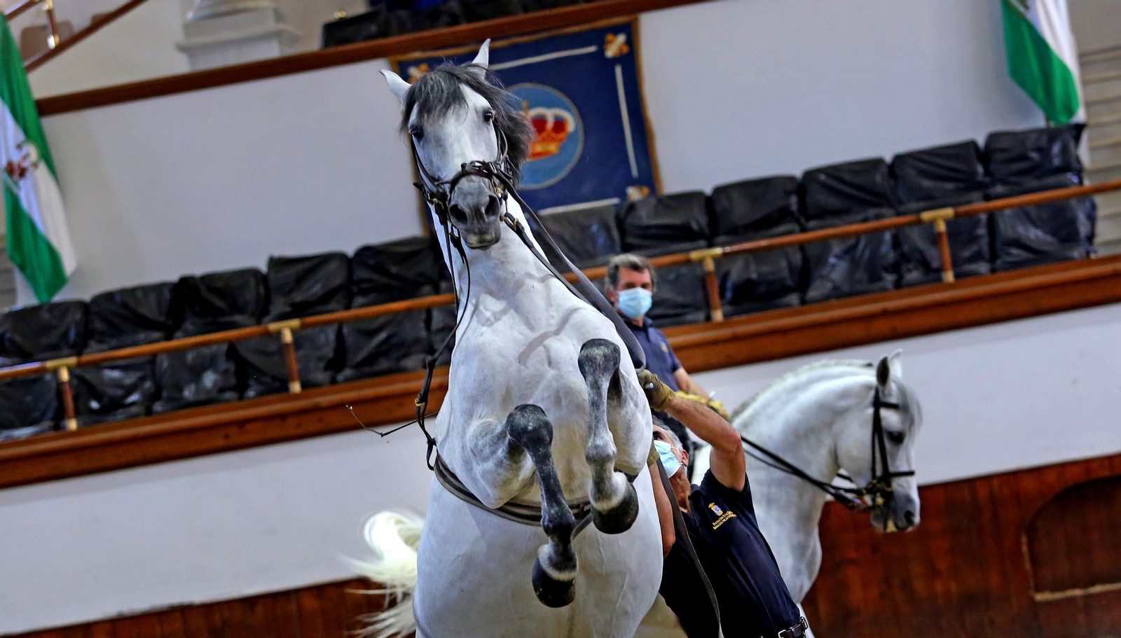 Real Escuela de Arte Ecuestre,Coronavirus
