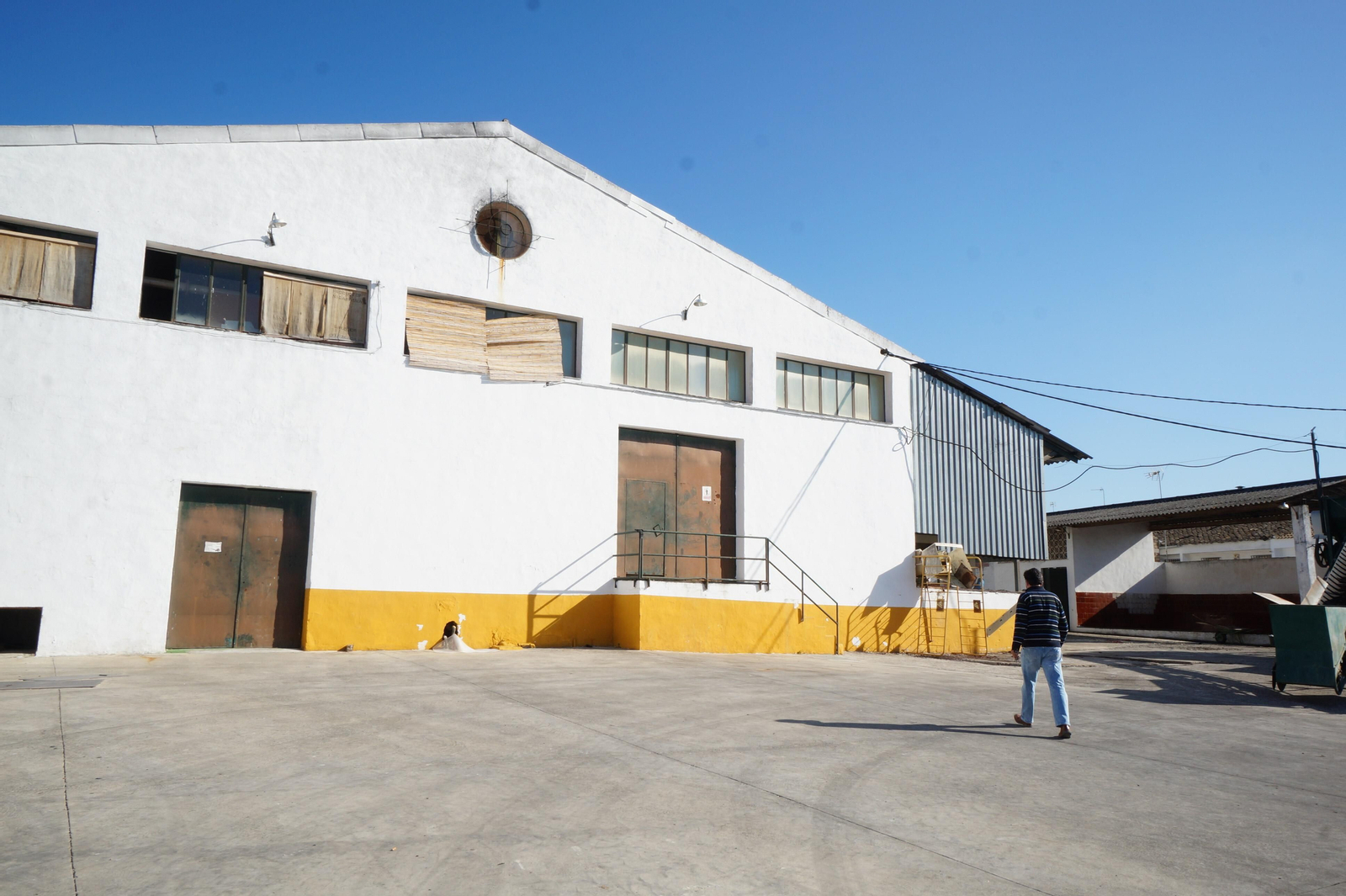 Un recorrido en fotografías por el vino nuevo de Moriles