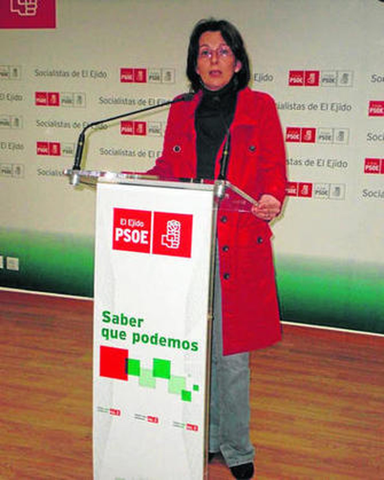 La portavoz socialista Guadalupe Fernández.