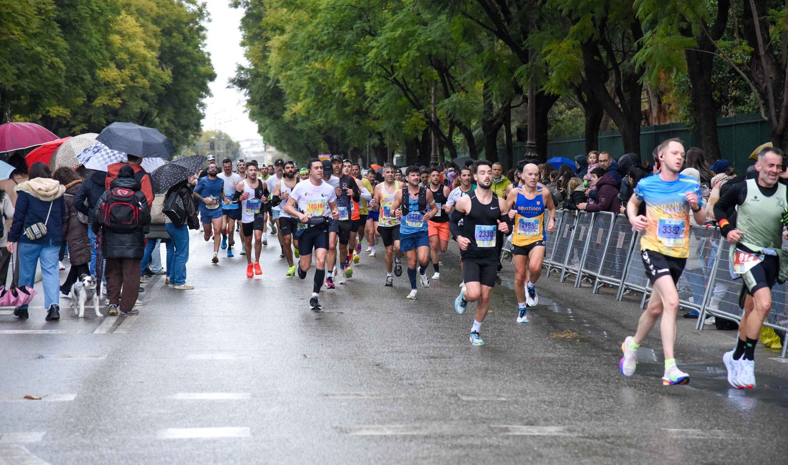 1/2 Maratón Sevilla 2026