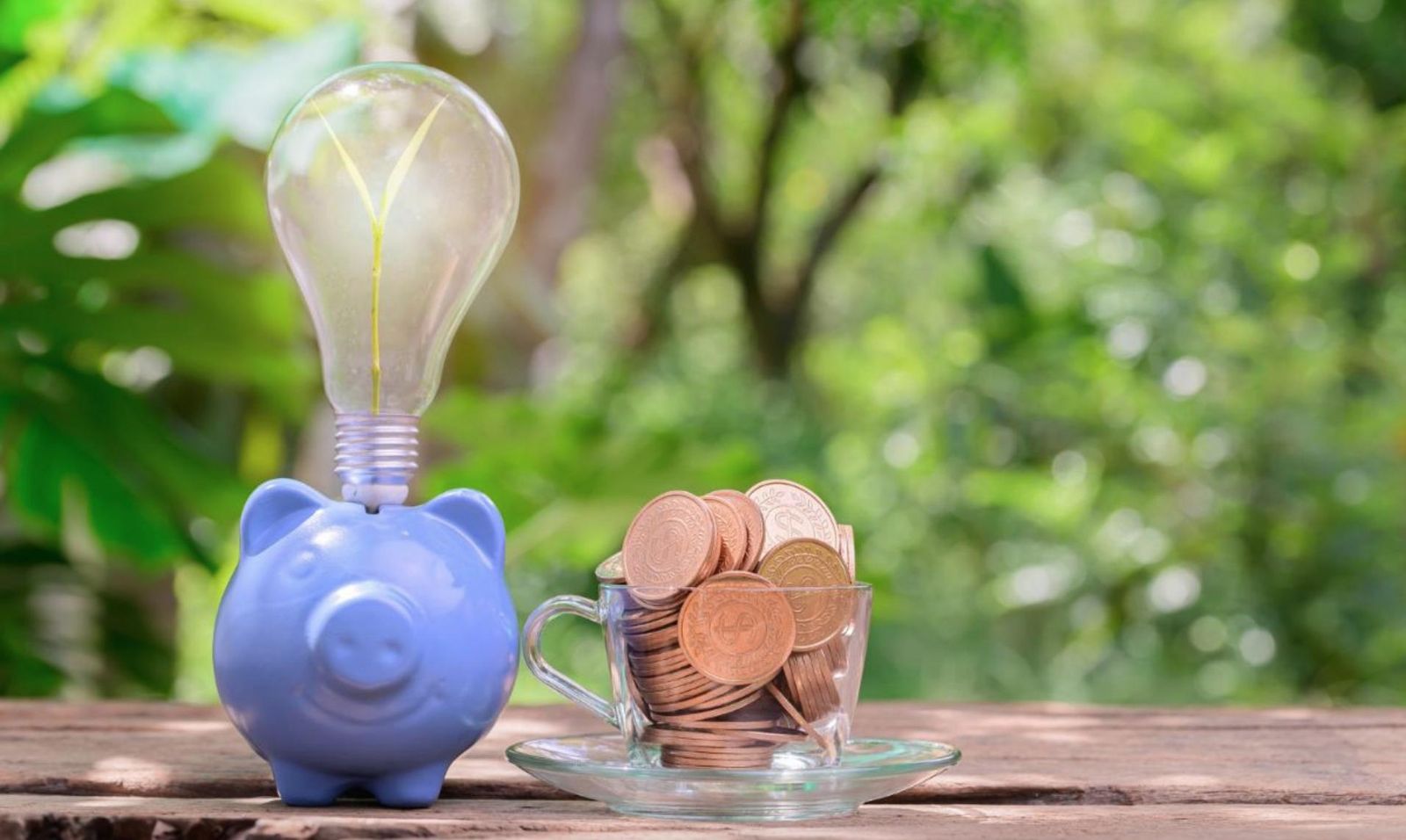 Ahorro energético en hogares y empresas, claves para reducir el consumo