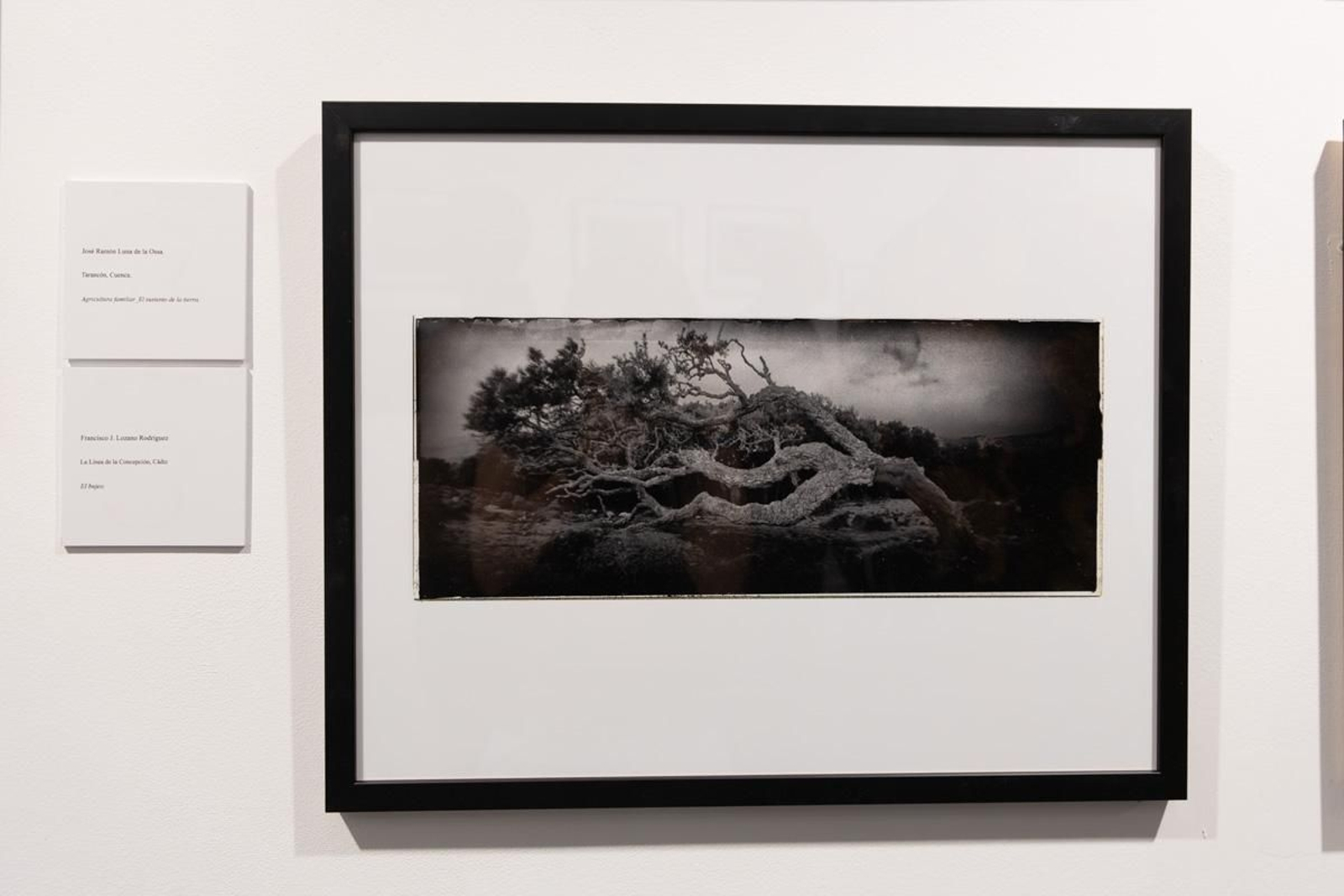 Exposición La Tierra, corazón de la vida, en imágenes