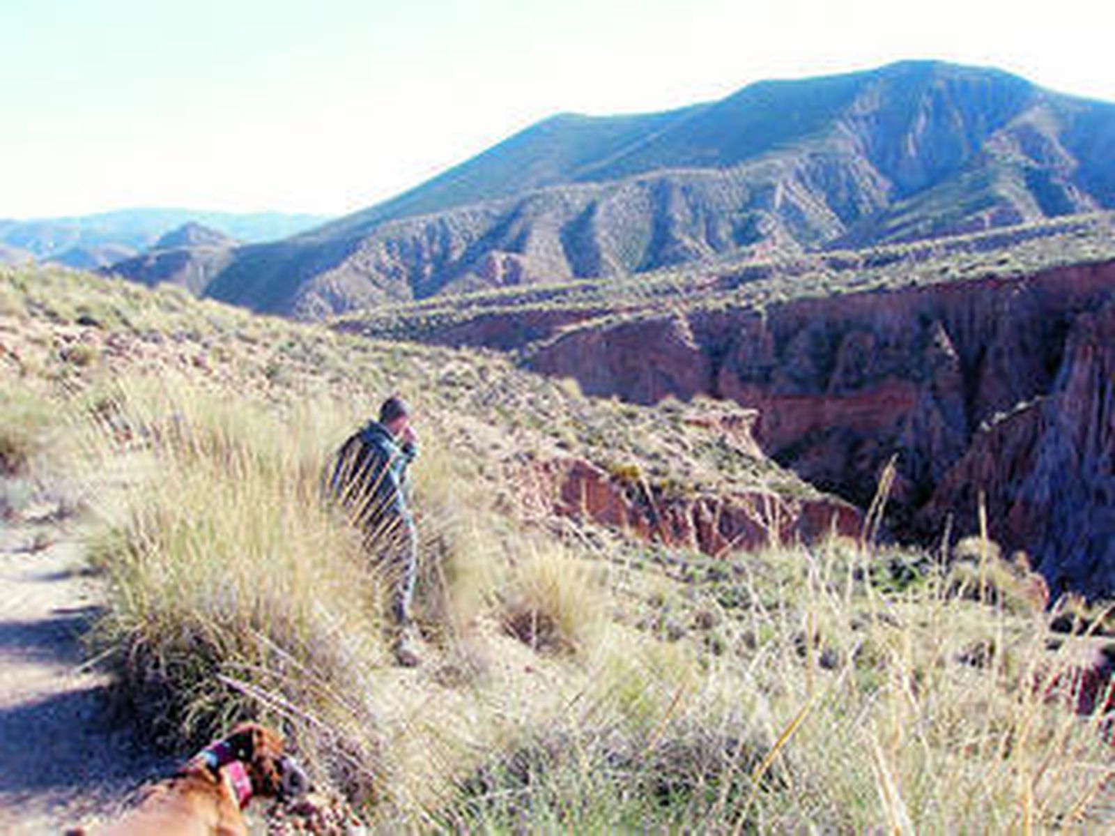 Un paseo rural y natural por la Rambla de los Yesos