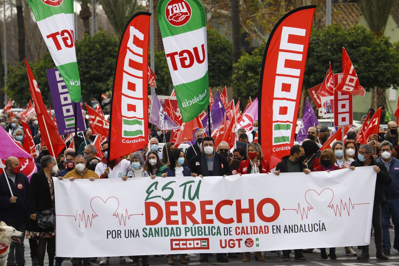 Manifestación en defensa de la sanidad pública en Córdoba, en imágenes