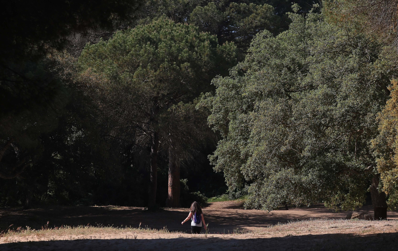 El Pinar del Rey de San Roque, en imágenes