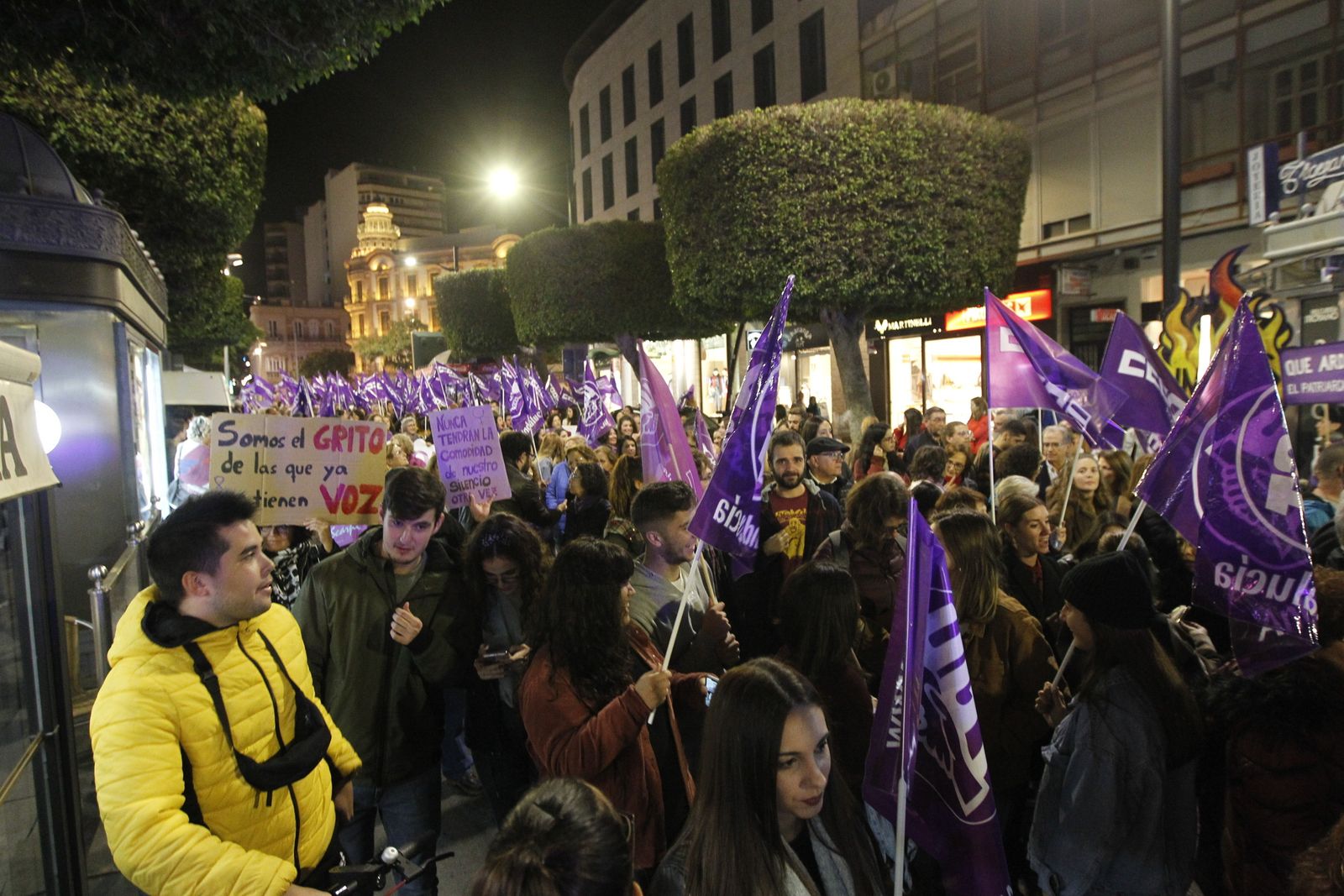 Manifestación Día Mundial contra la Violencia de Género. Almería